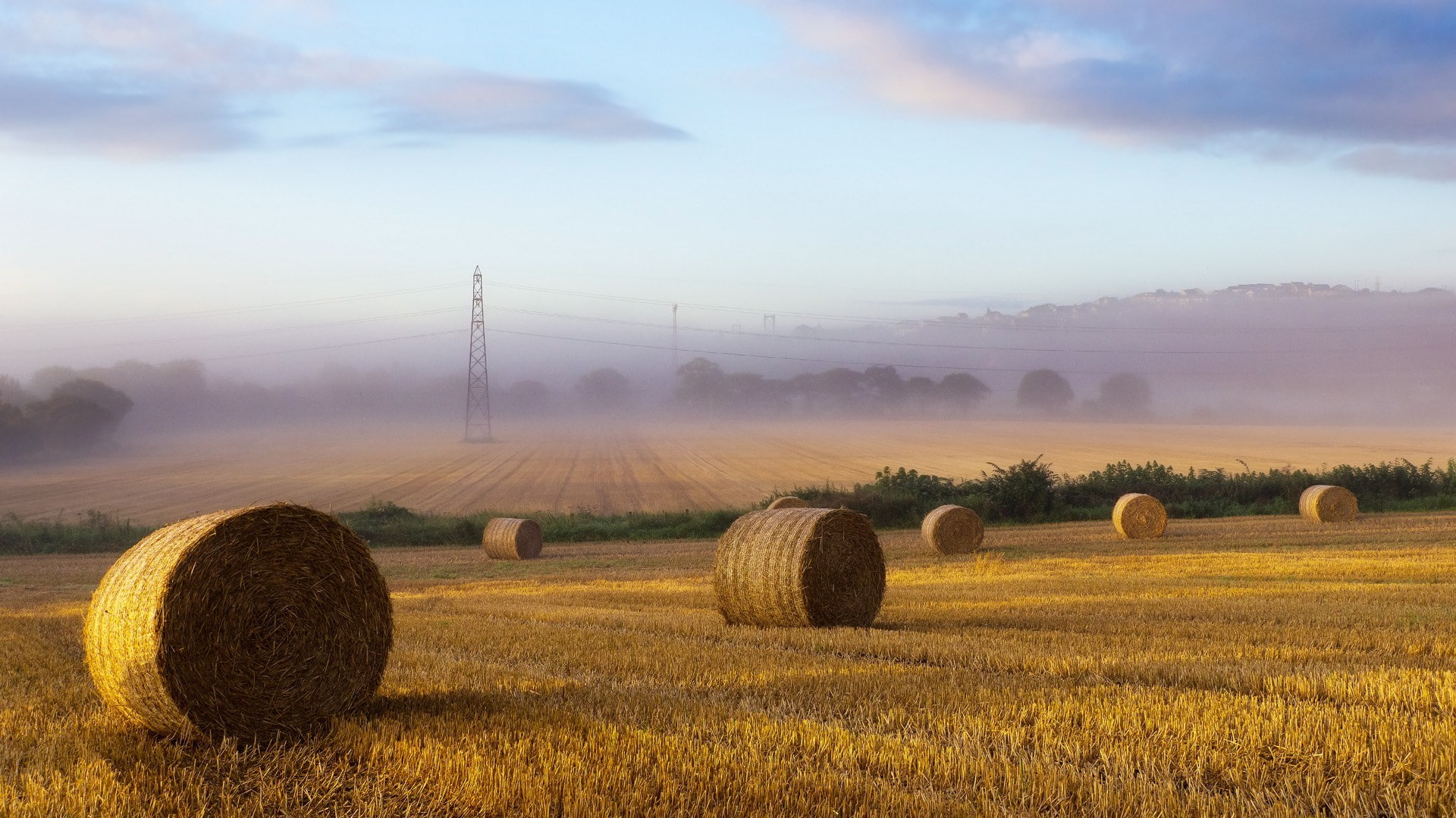 haystack