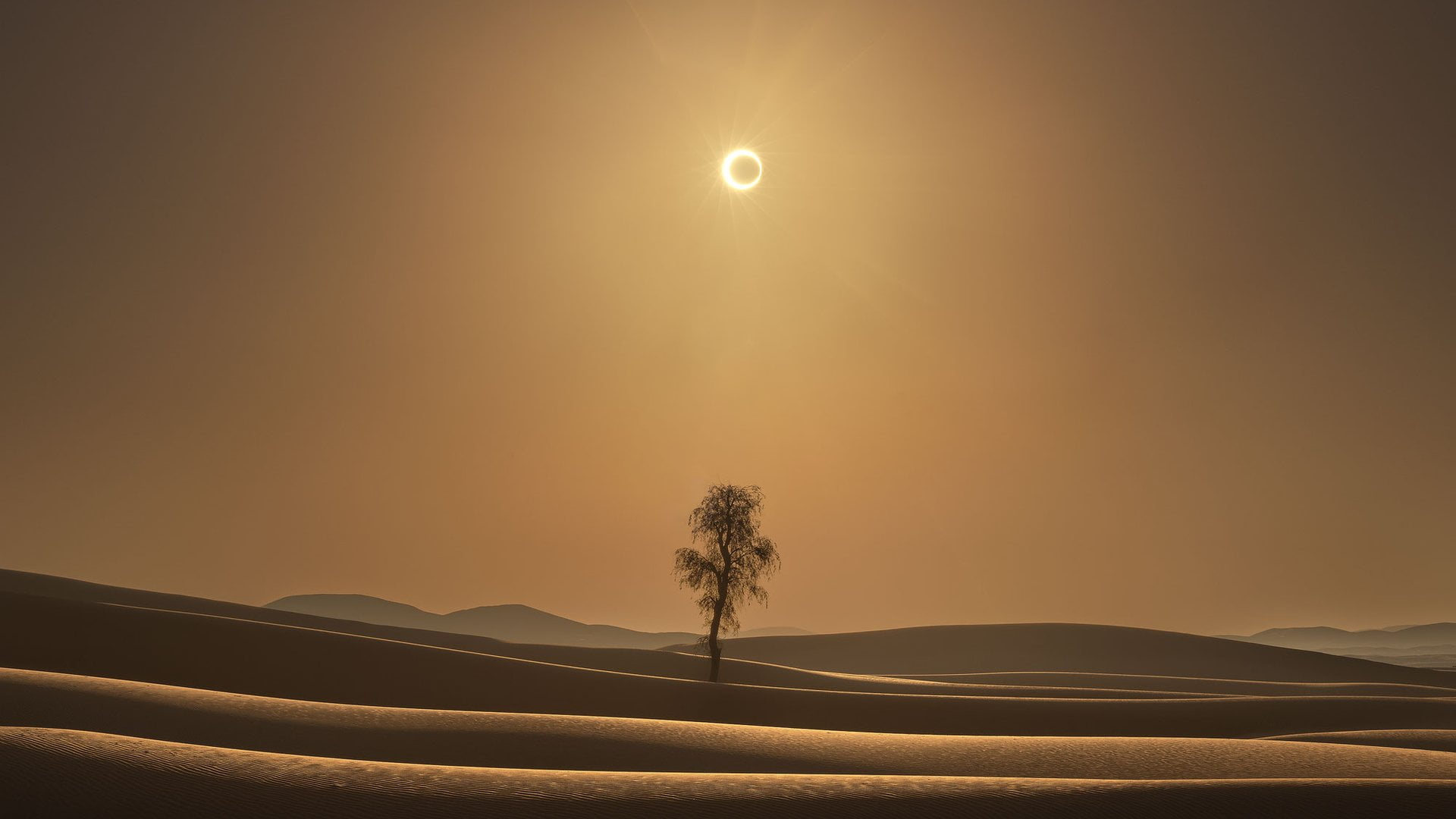 landscape, desert, eclipse