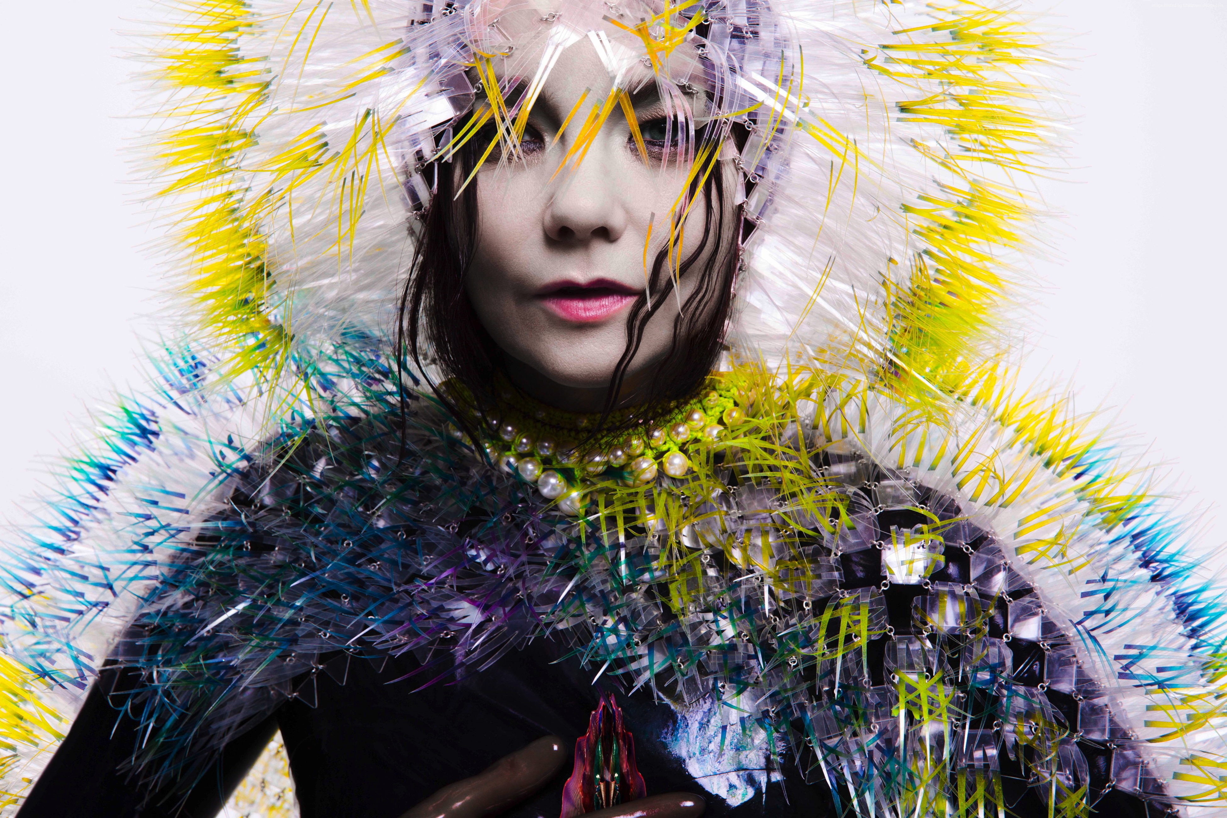 Bjork, 4K, photo