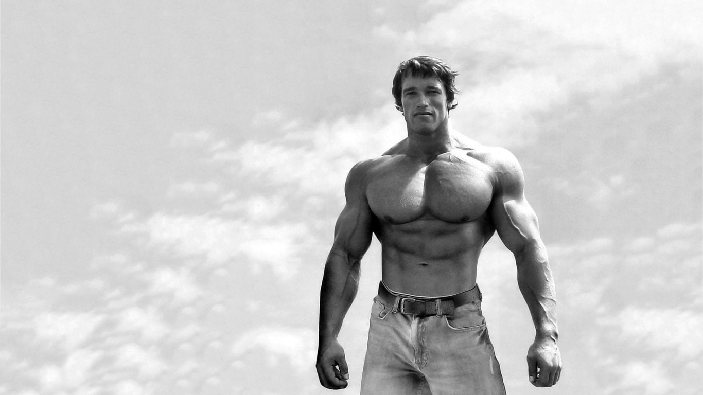 Actors, Arnold Schwarzenegger