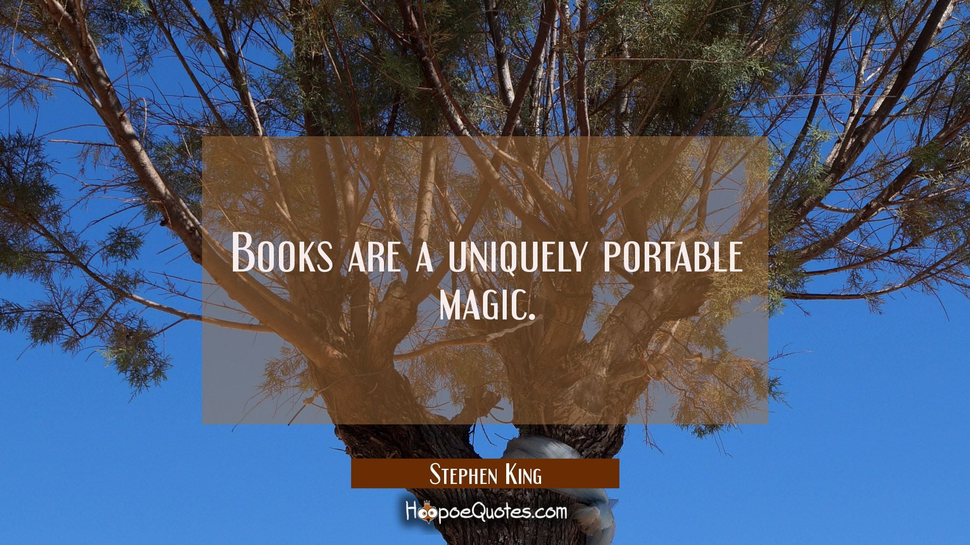 books, quote, Stephen King, magic, text, communication, tree
