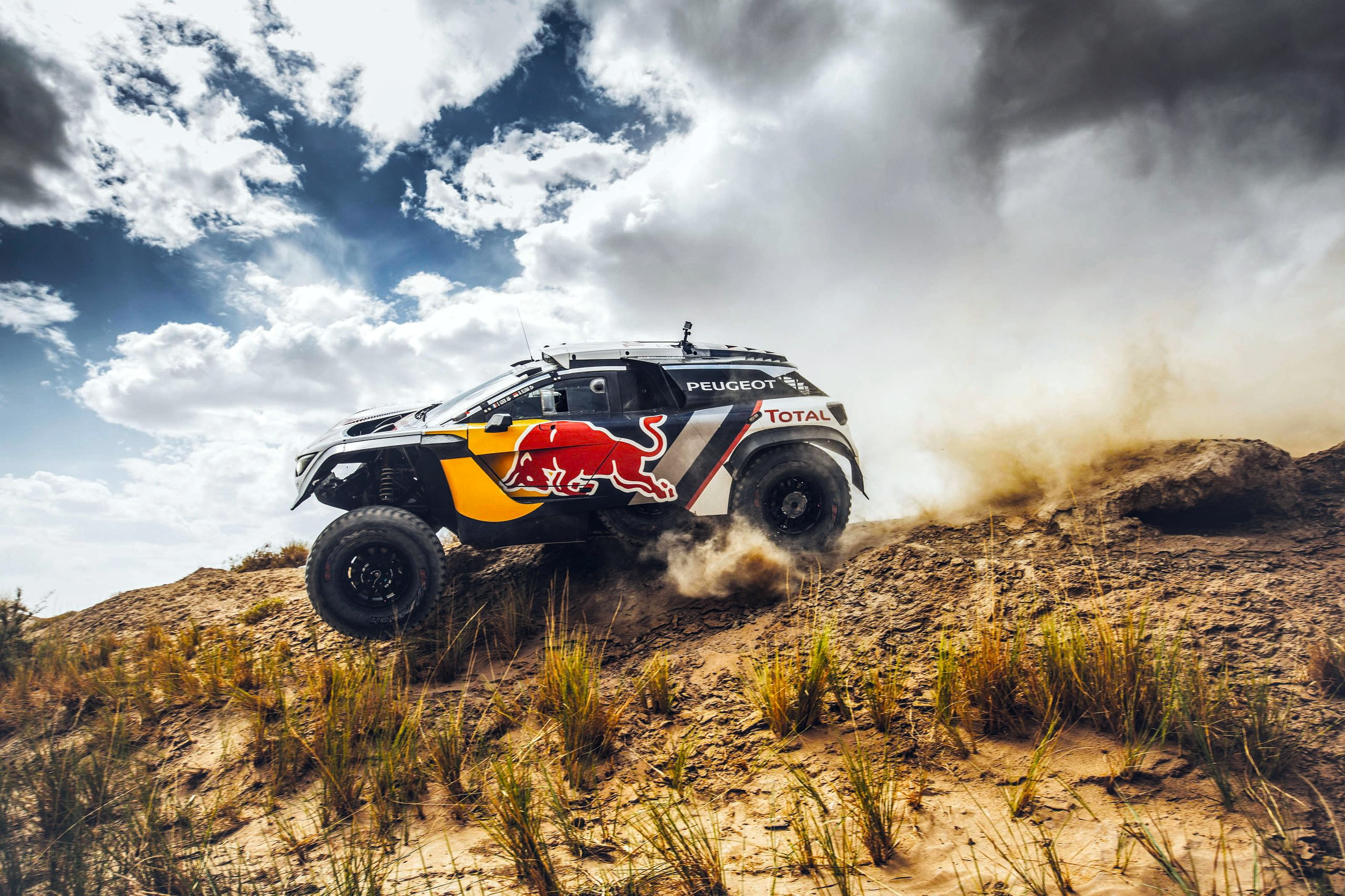 The sky, Sport, Speed, Race, Peugeot, Red Bull, Side, Rally