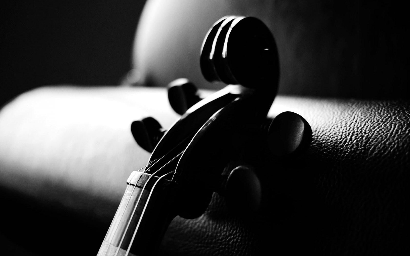 Violin Musical Instrument, black violin headstock