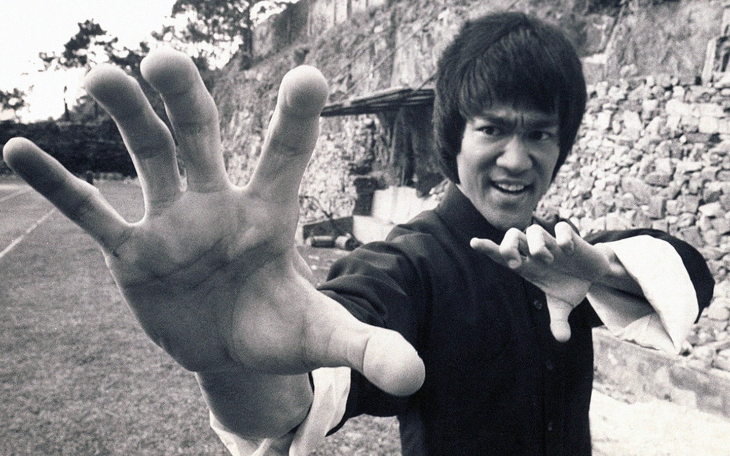 Bruce Lee, men, actor, hands, warrior, monochrome, one person