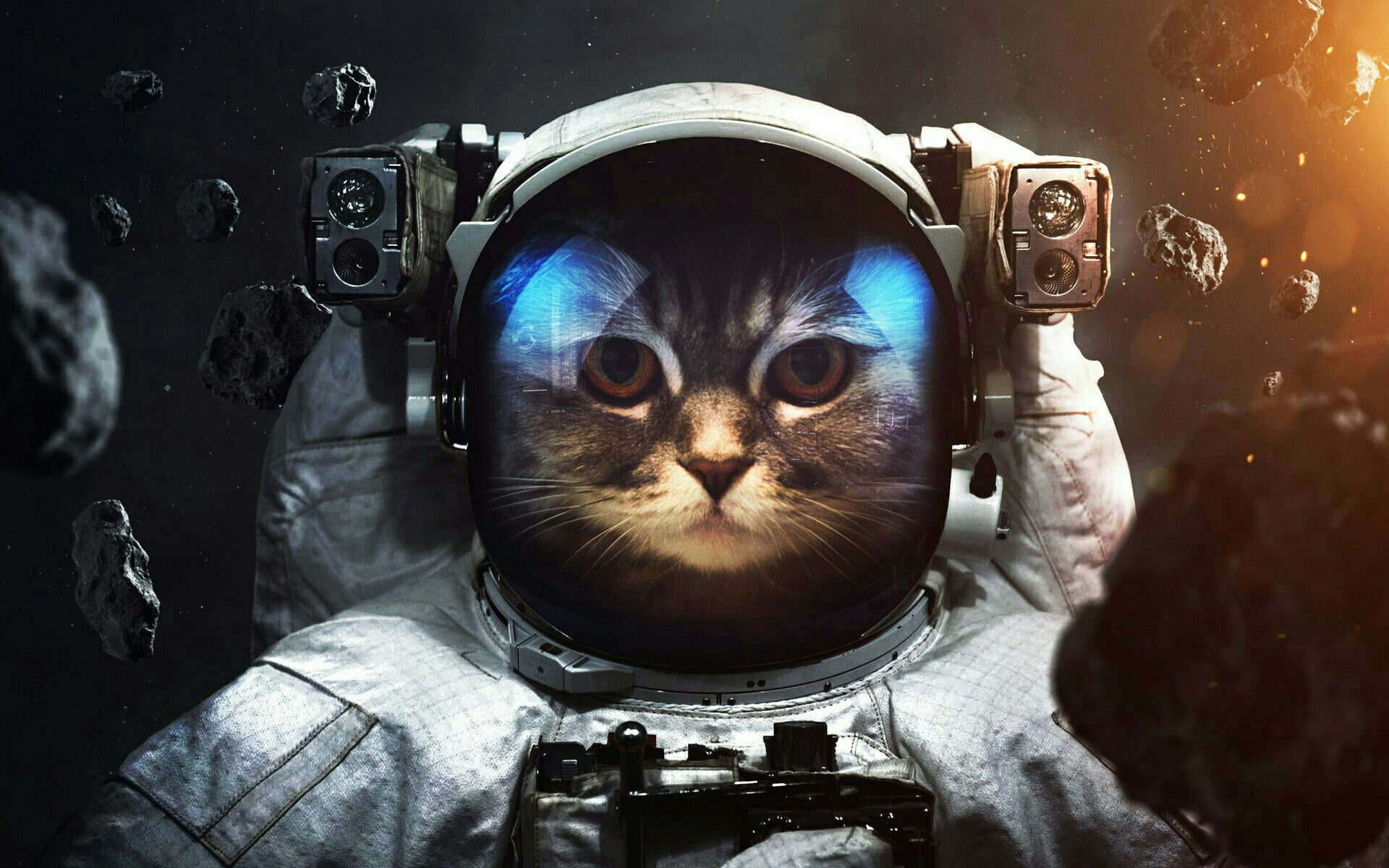cat, space, astronaut, asteroid, costume