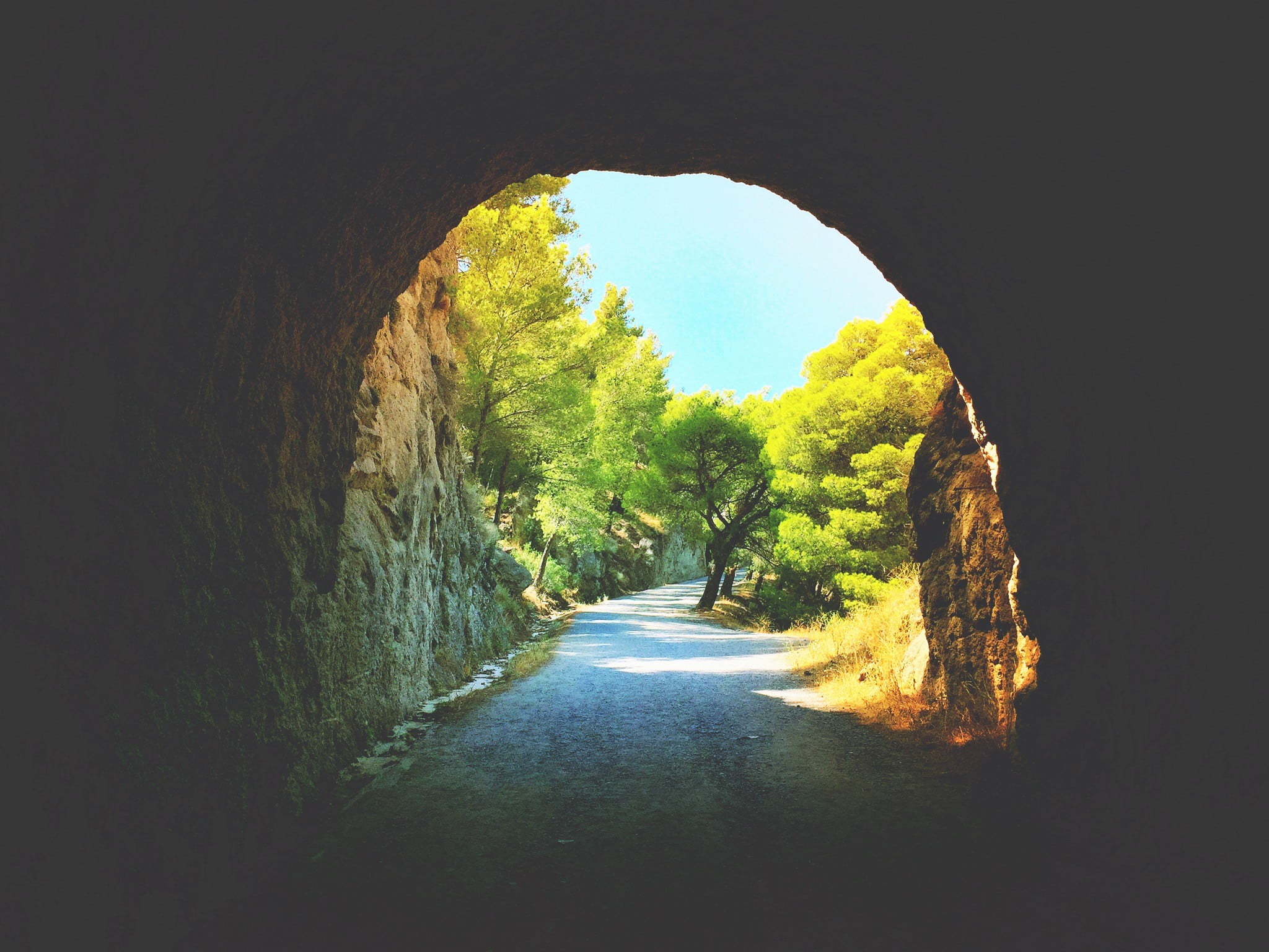 green leaf trees photo, nature, landscape, tunnel, path, rock