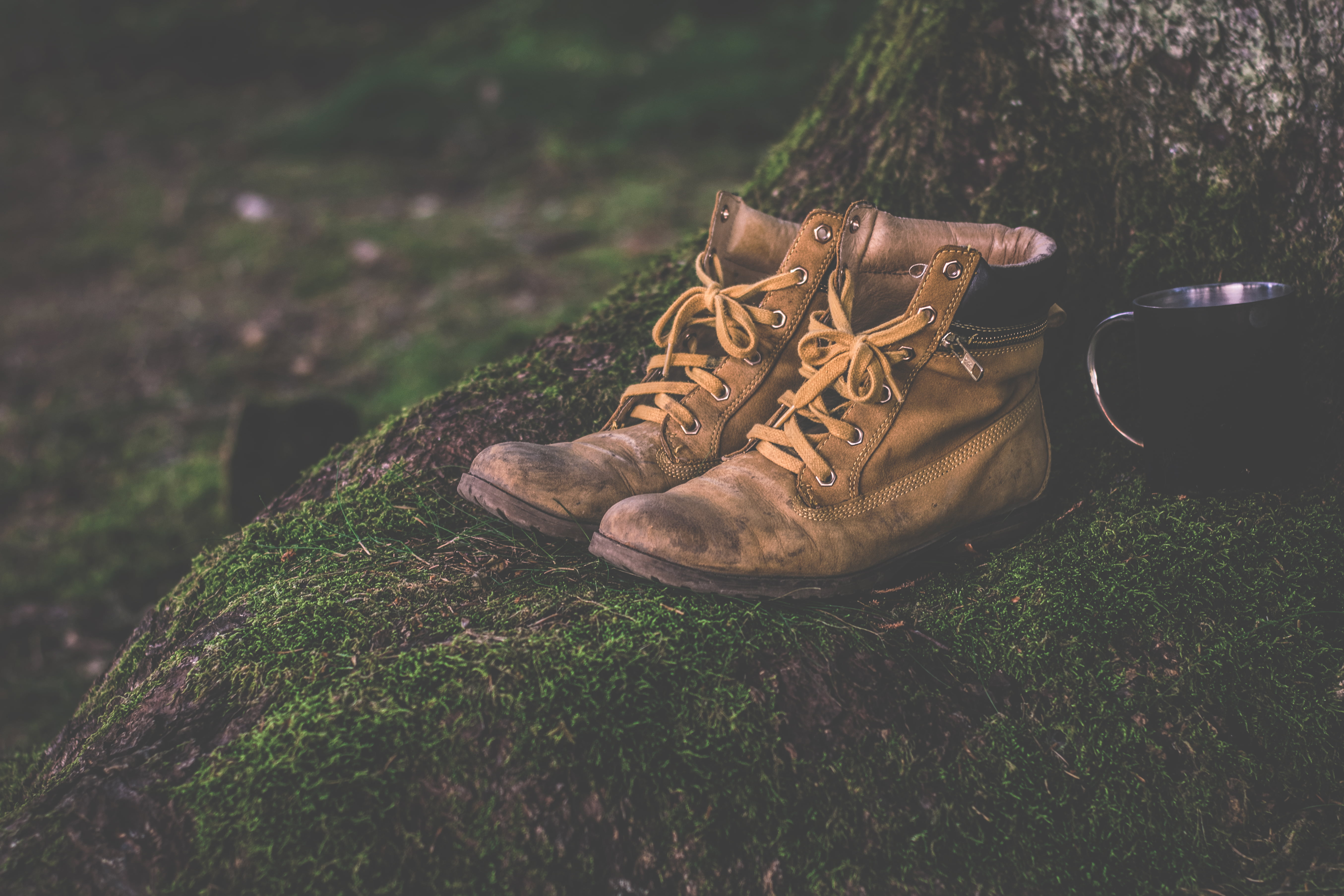 pair of brown leather boots, shoes, moss, outdoors, hiking, fashion