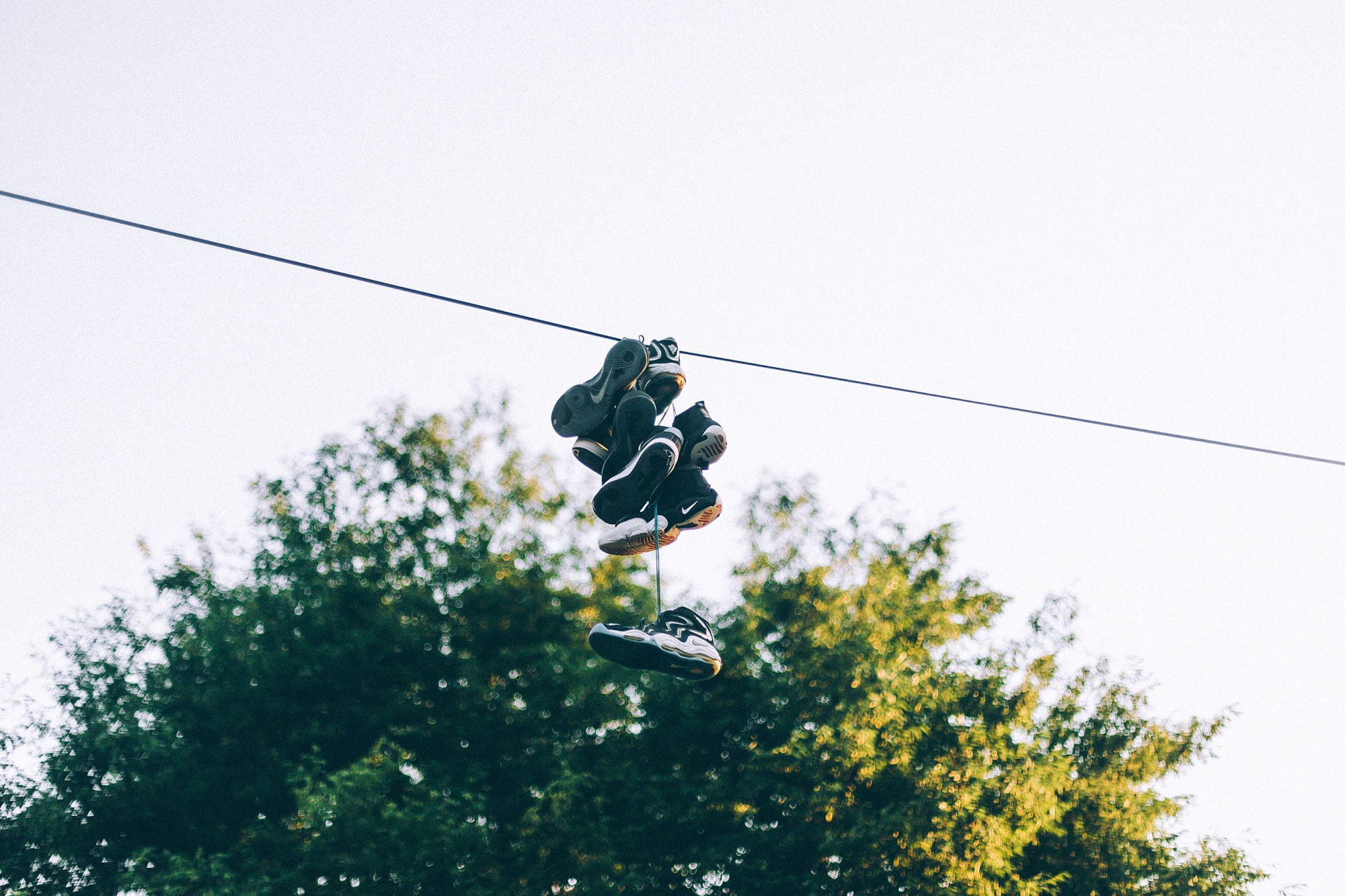 assorted-color shoes, sneakers, power lines, bokeh, tree, plant