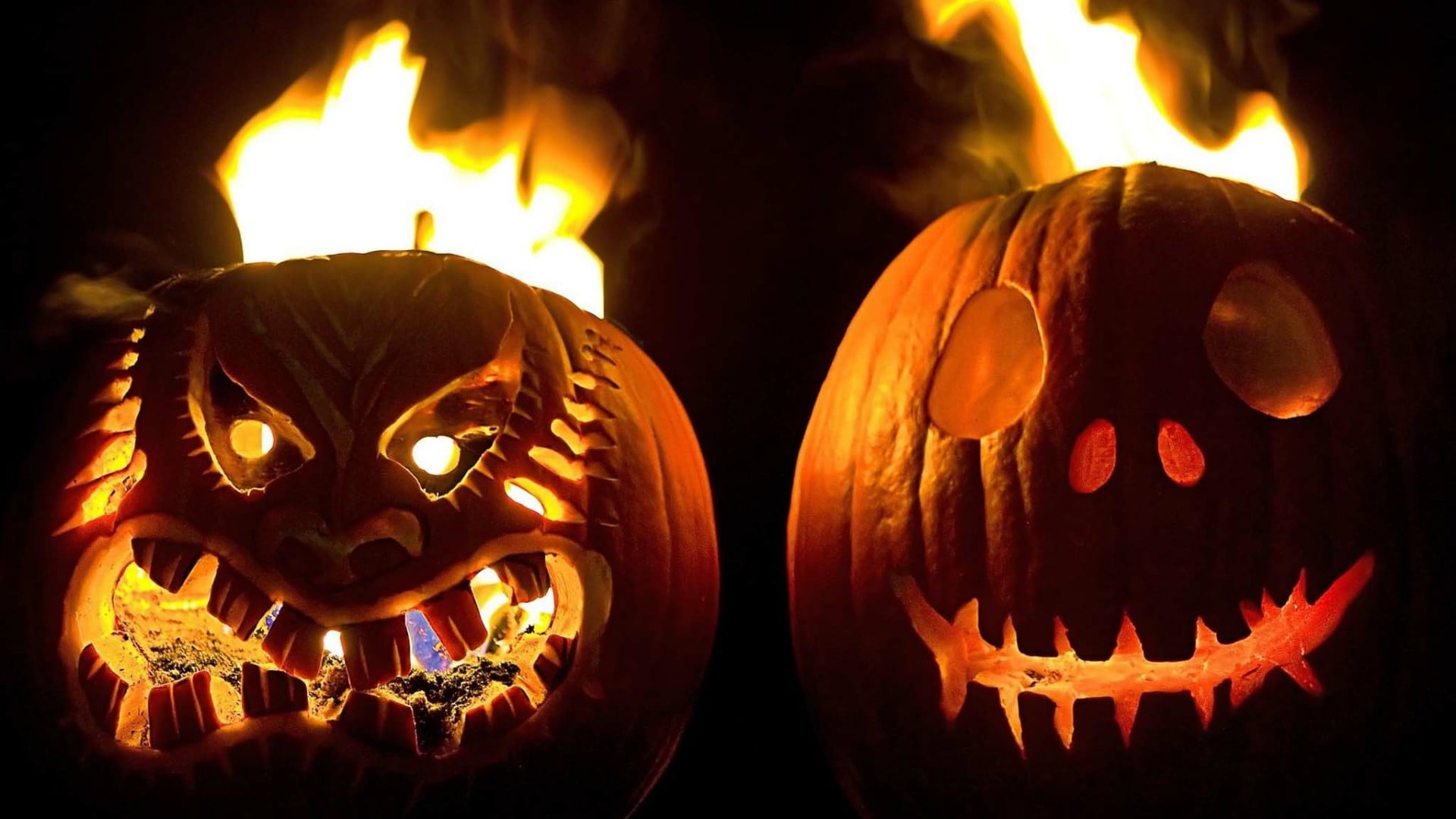 halloween, pumpkin, decoration, jack o lantern, lighting, cucurbita