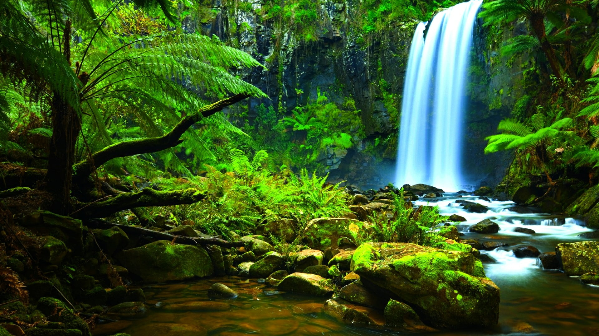 waterfall, amazon, nature, body of water, rainforest, watercourse