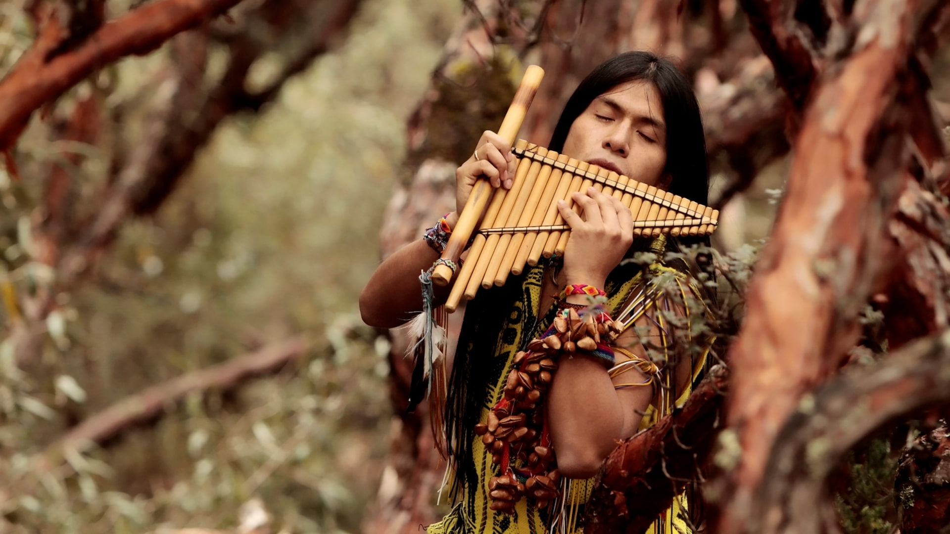 Leo Rojas, Man, Hair