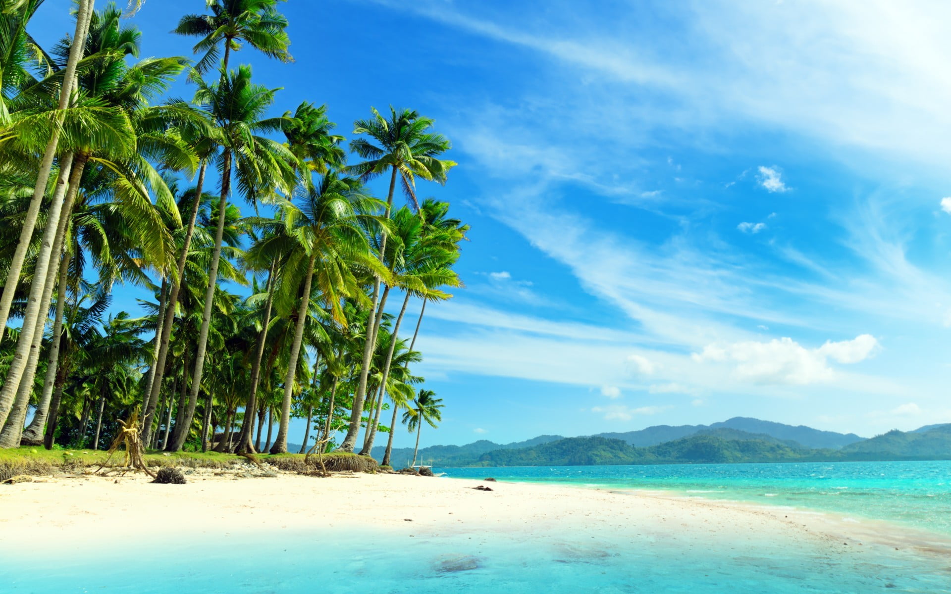 green palm trees, beach, tropical, sky, tropical climate, beauty in nature