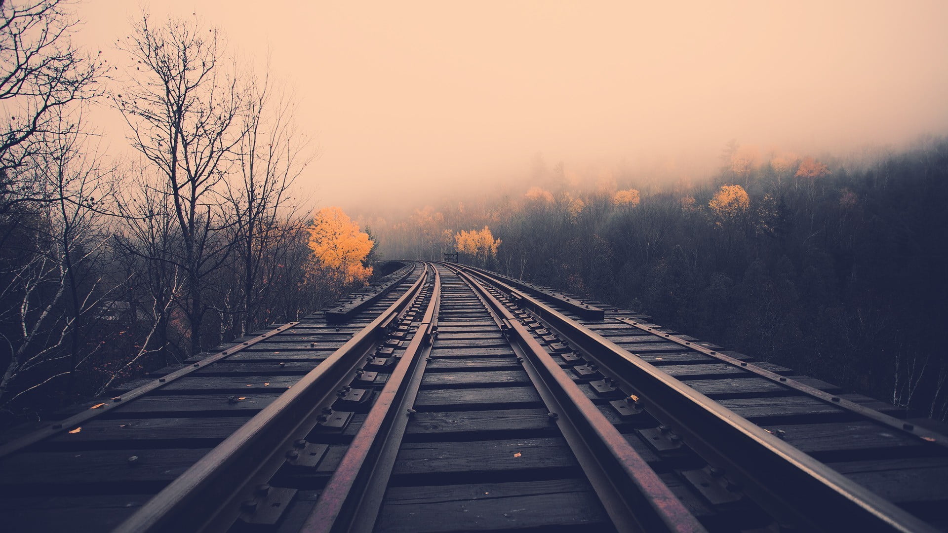 brown and red train rails, railway, landscape, dusk, trees, fall