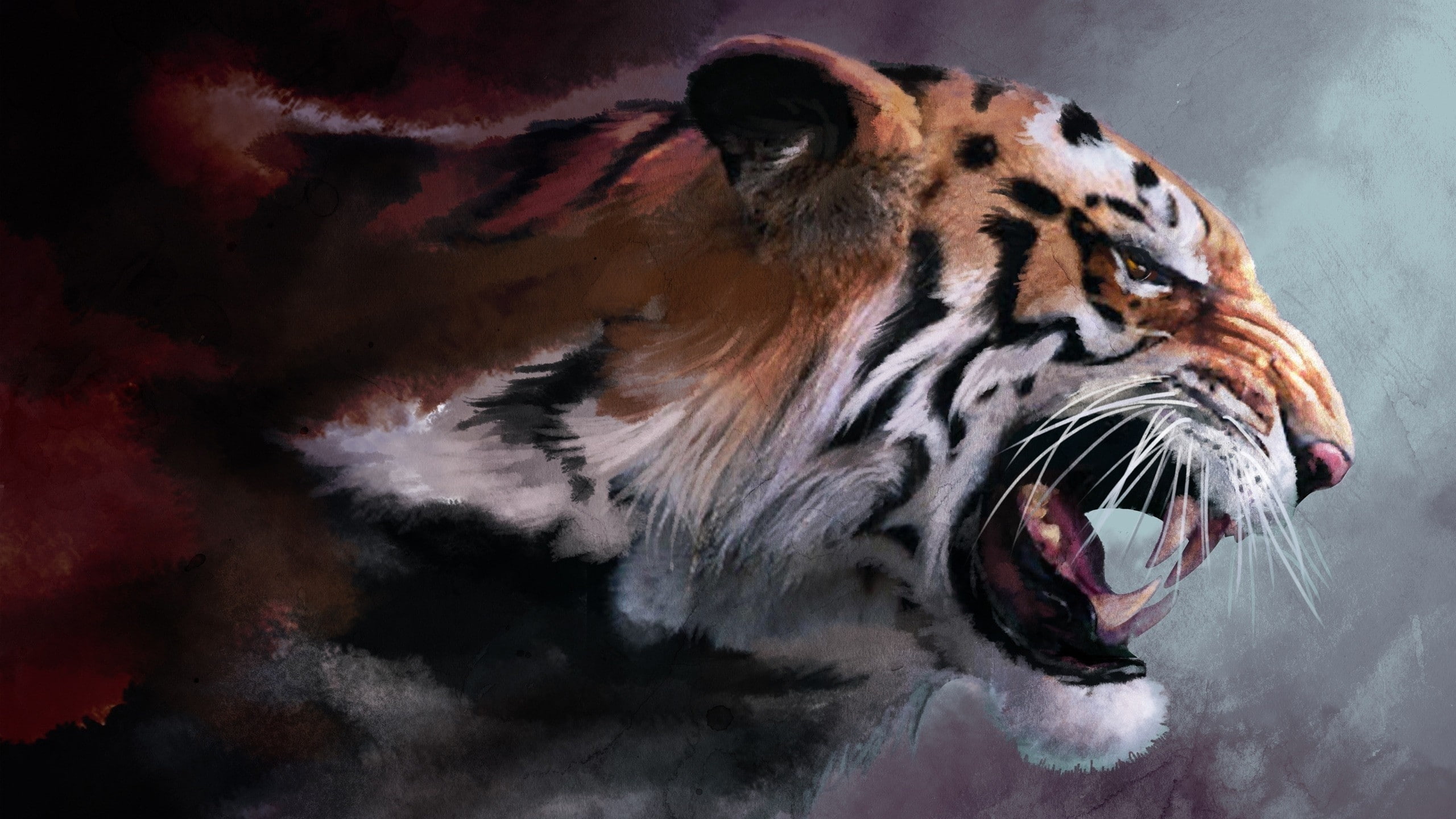 Free download | HD wallpaper: Tiger Abstract HD, white frame tiger ...