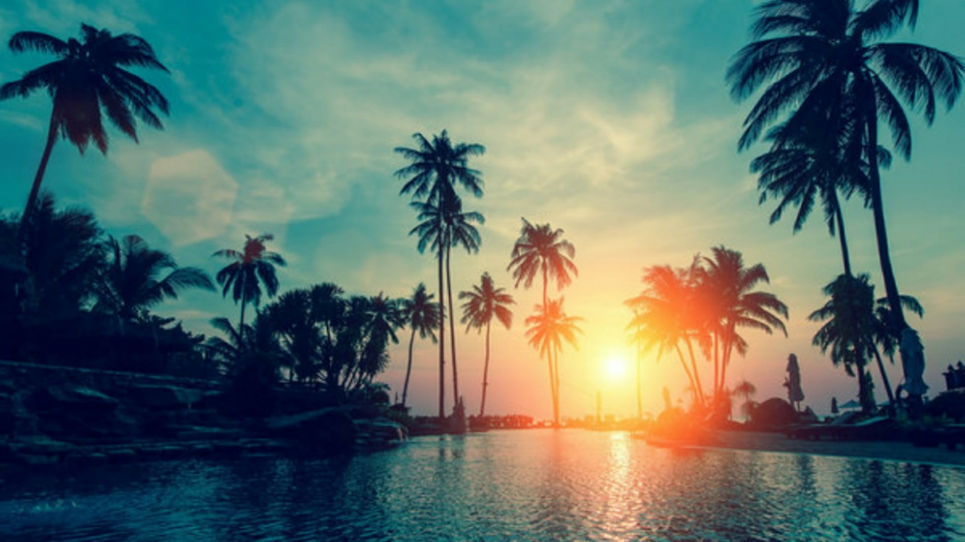 nature, sky, palm tree, sunset, sea, evening, sunlight, tropical climate
