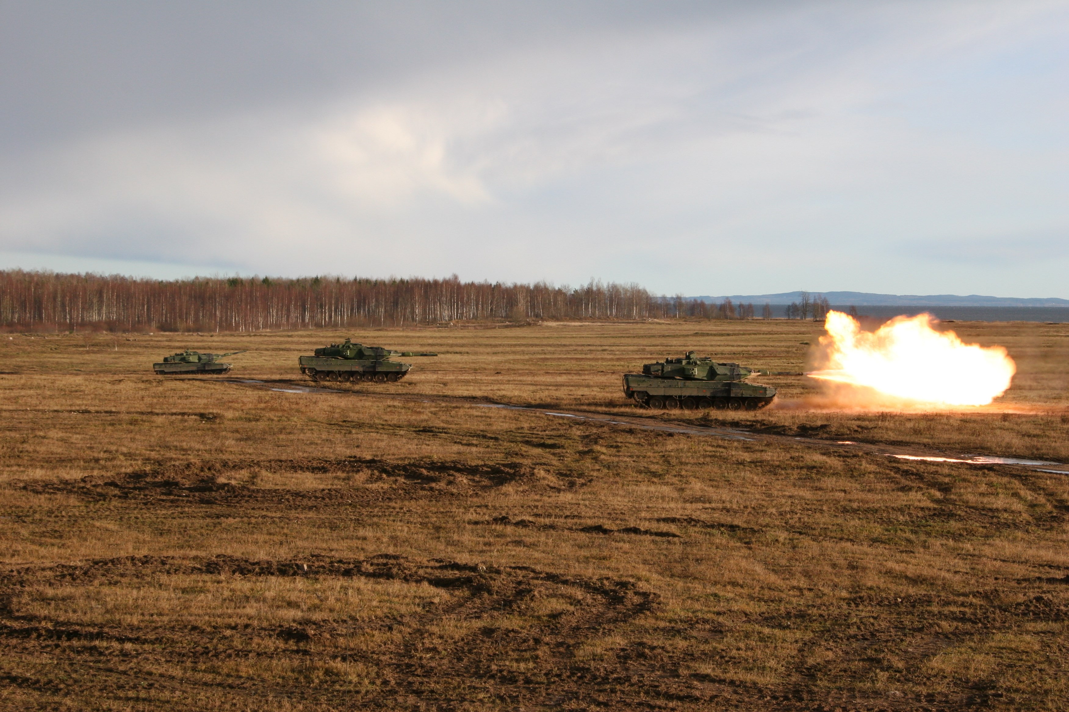 leopard 2