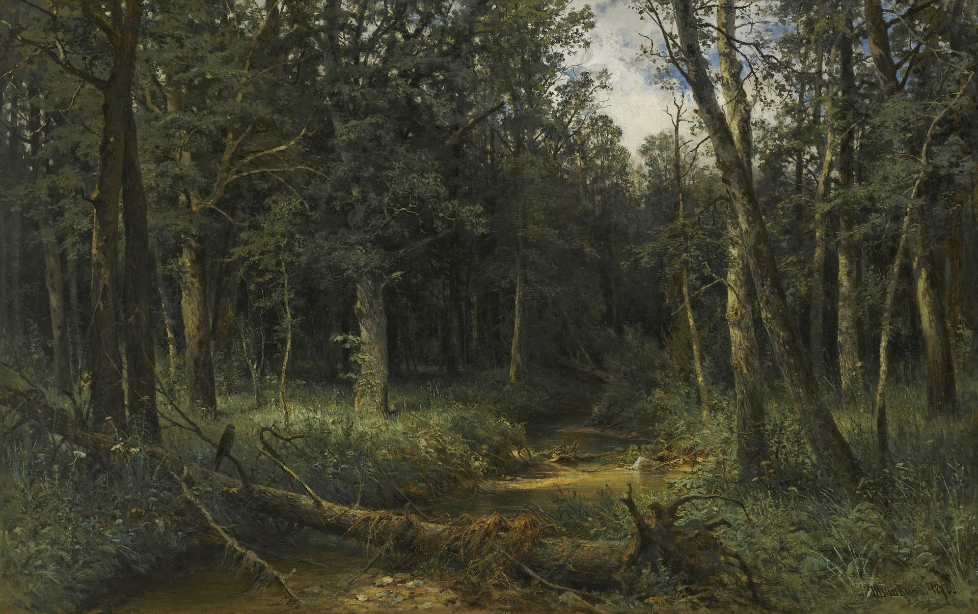forest, landscape, picture, Ivan Ivanovich Shishkin, Dark Wood