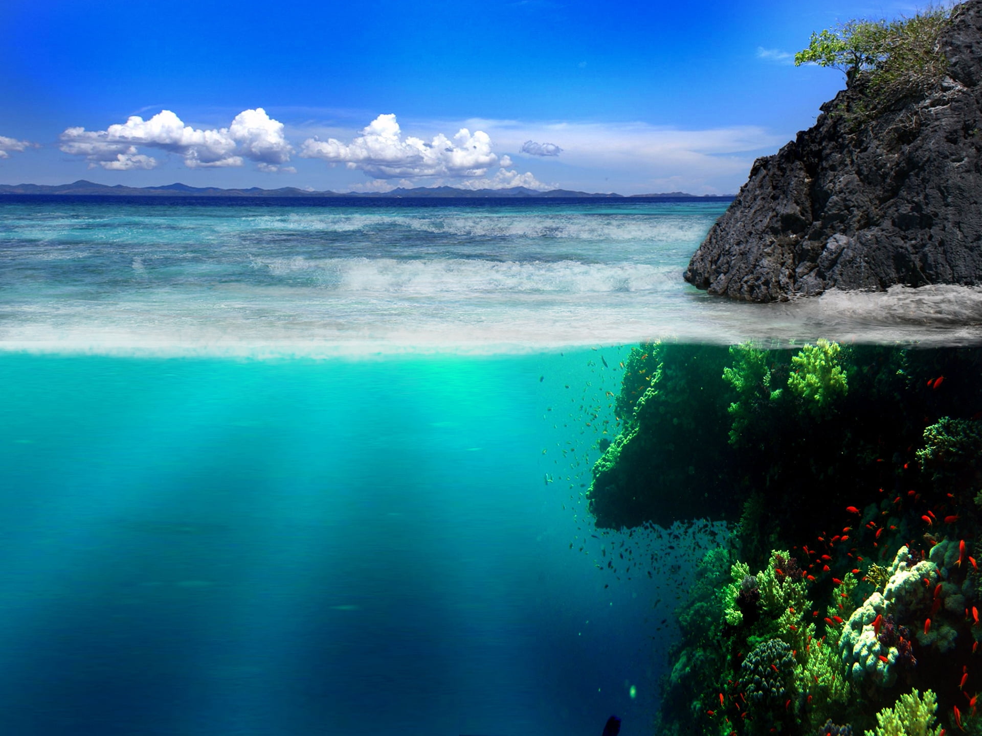 body of water, sea, coast, rocks, underwater world, vegetation