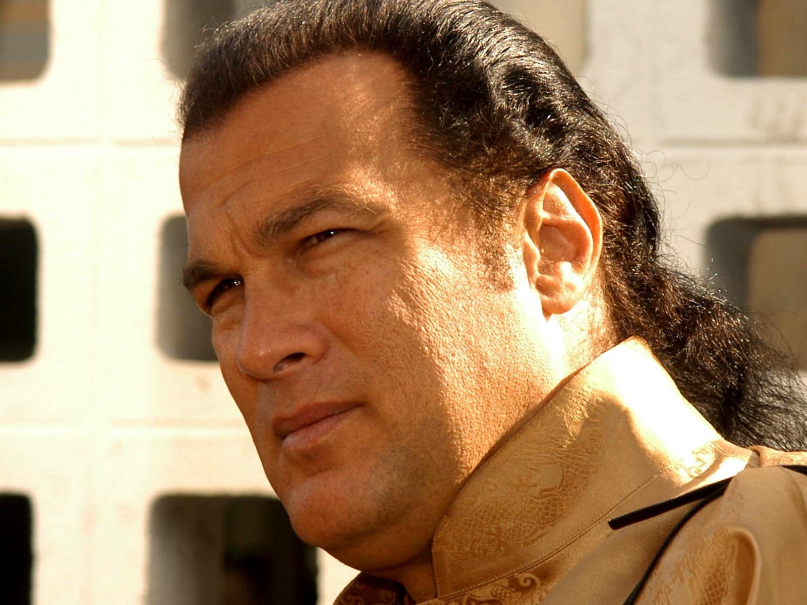 Steven Seagal, brunette, face, long hair, look, men, people, one Person