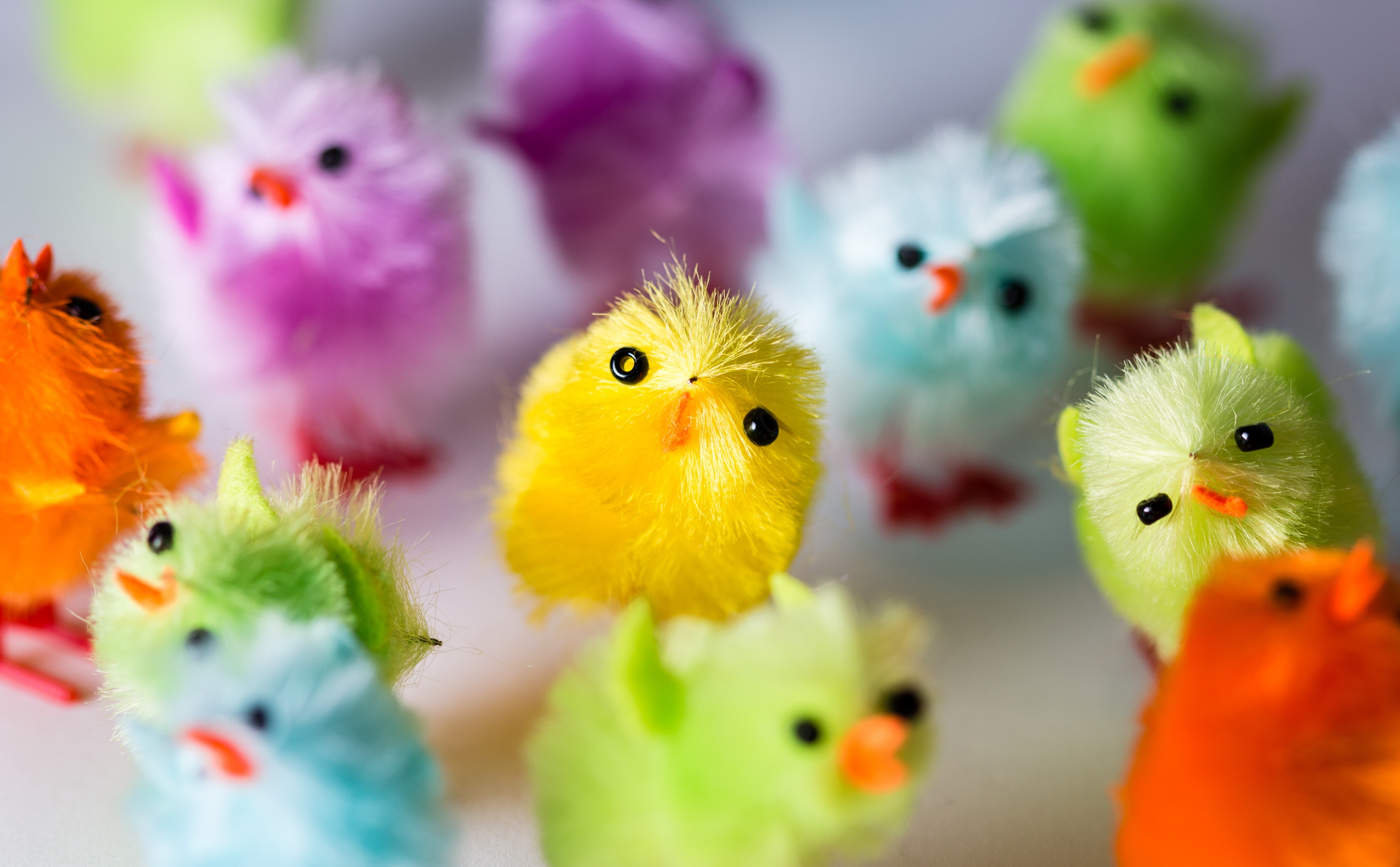 Multi Colored Easter Chicks, Holidays, Colorful, Macro, Funny