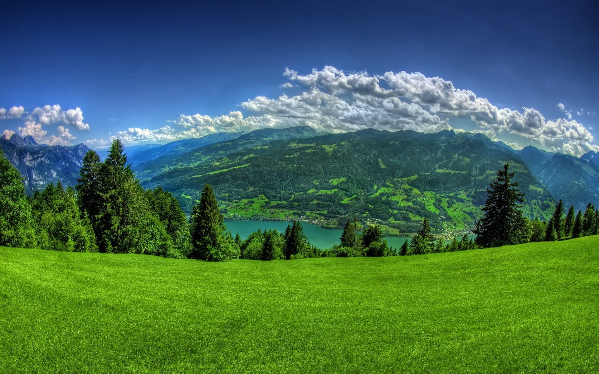 green leafed tree, greens, grass, mountains, slope, lake, trees