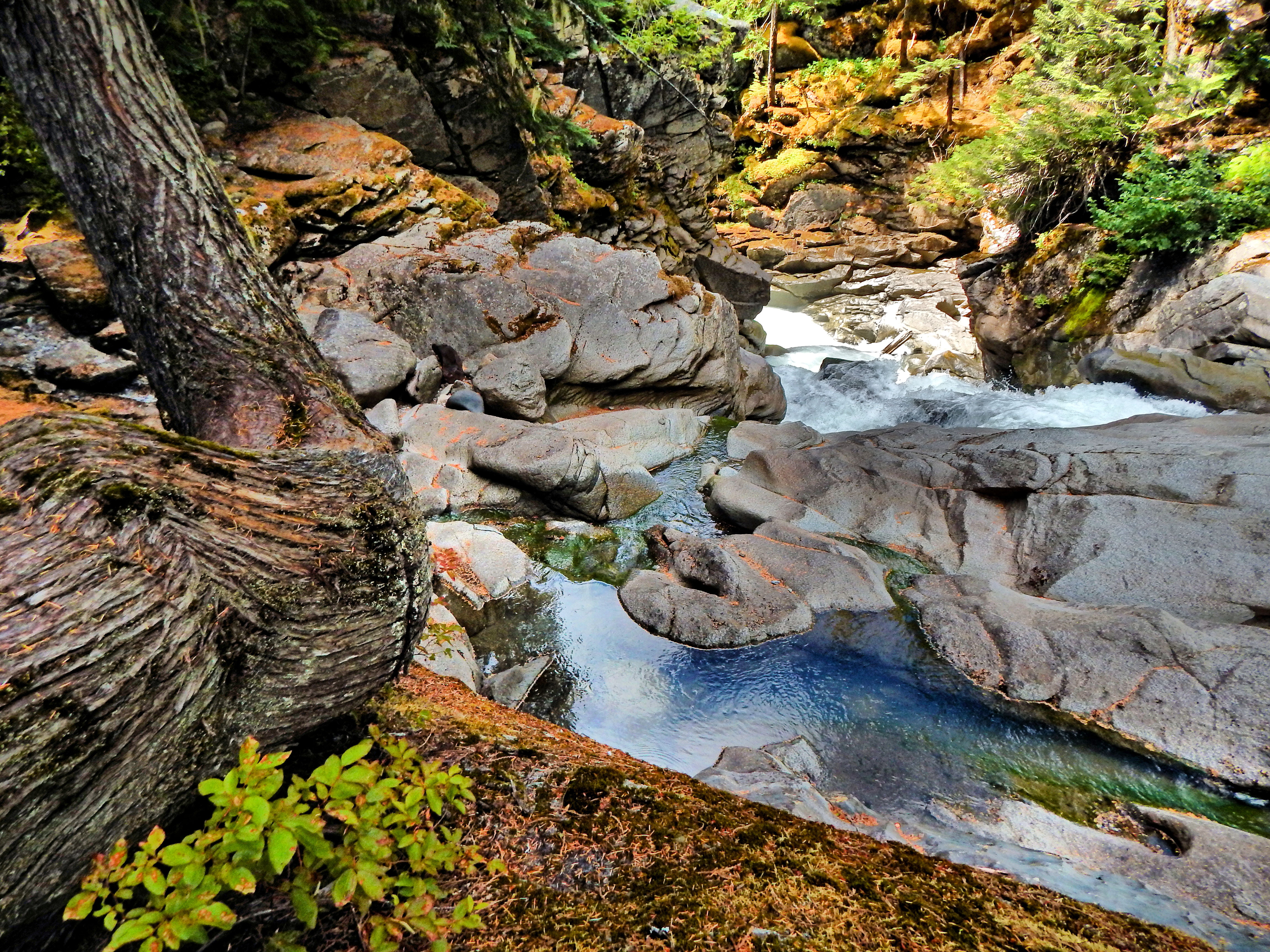 water flowing on rock formation in forest, white river, white river
