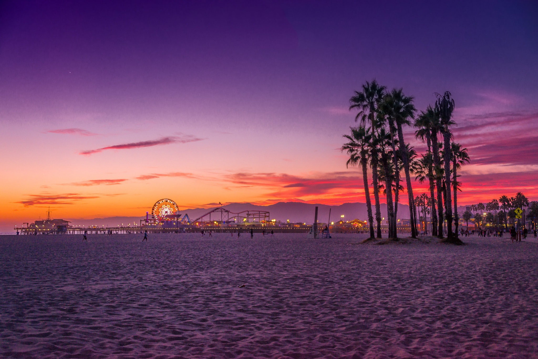 Los Angeles, Santa Monica beach, silhouette of trees, USA, California