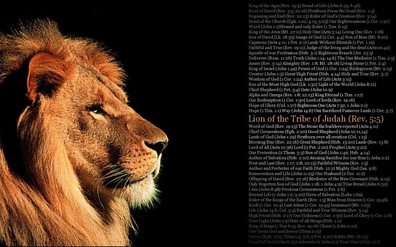 Lion of the Tribe of Jadah Rev. 5:5, quote, animal, animal themes