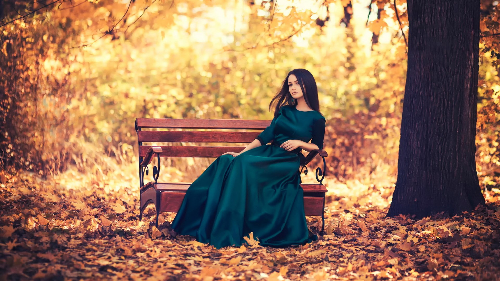 pc  girl 1920x1080, tree, one person, autumn, sitting, forest
