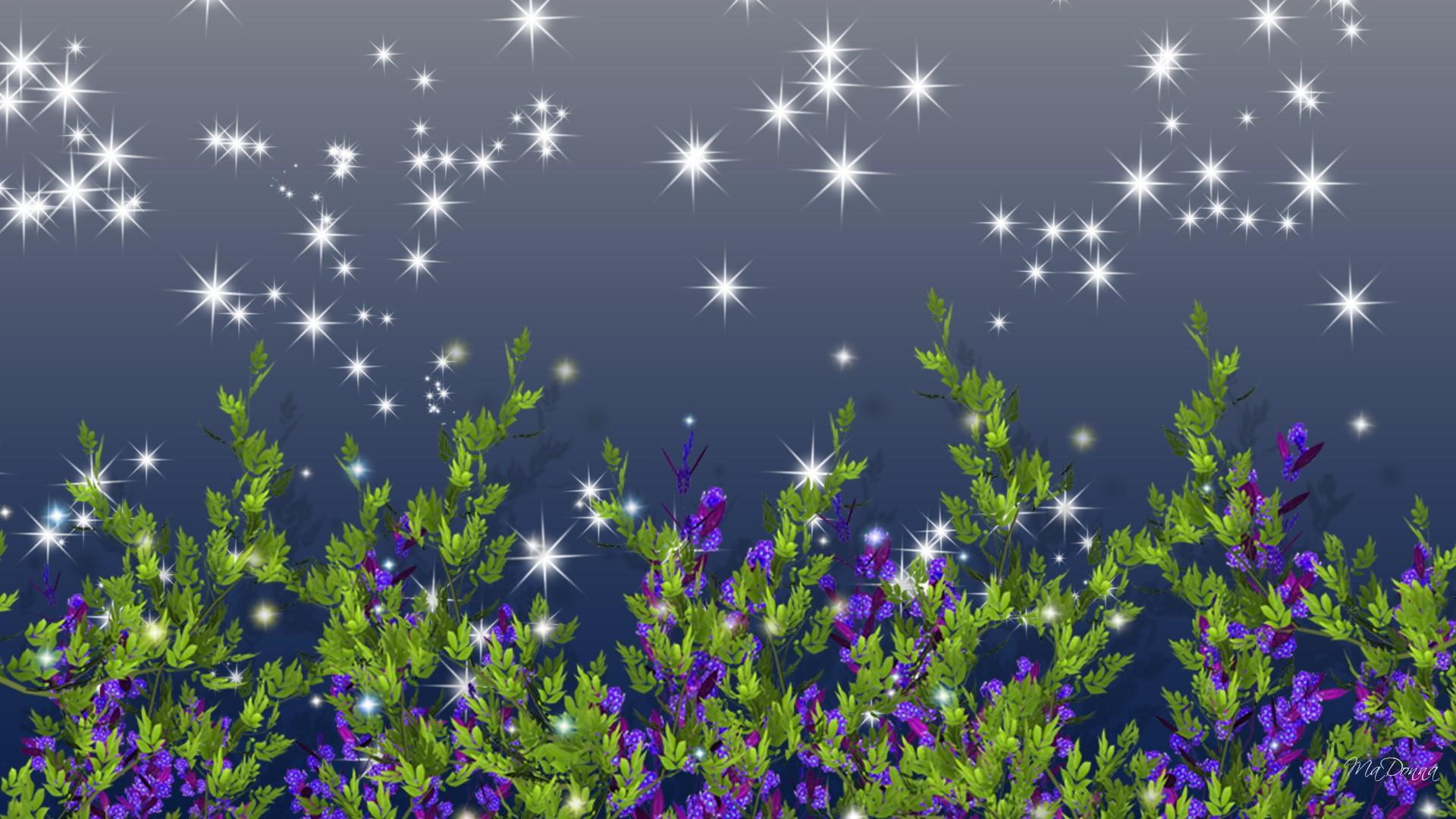 Wild Night Blooms, firefox persona, stars, sparkles, purple, lavender