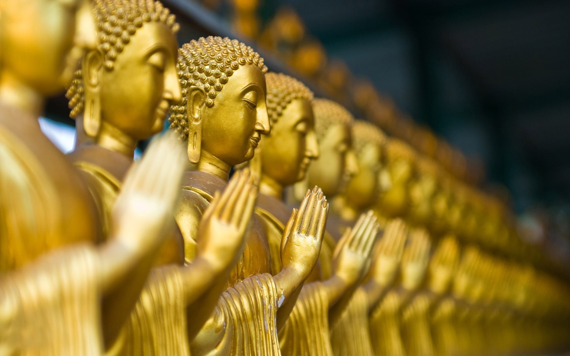 gold-colored steel Buddha statue lot, gold buddha, depth of field