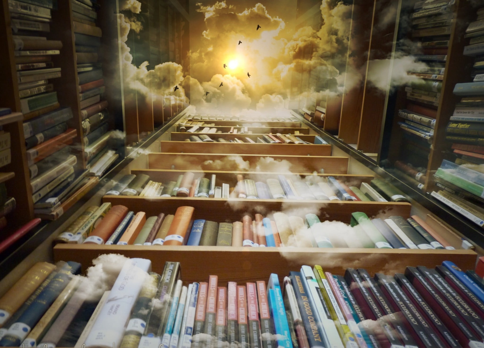 books, clouds, birds, worm's eye view, shelves, indoors, large group of objects