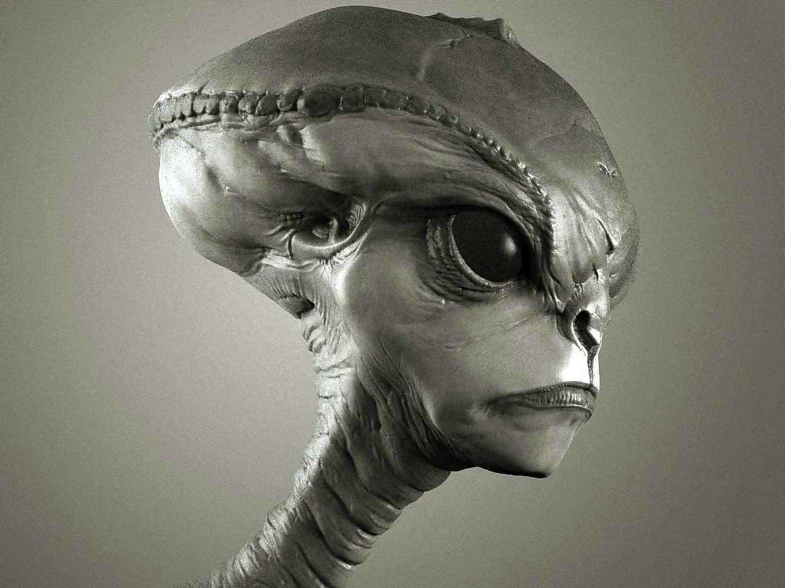 Alien