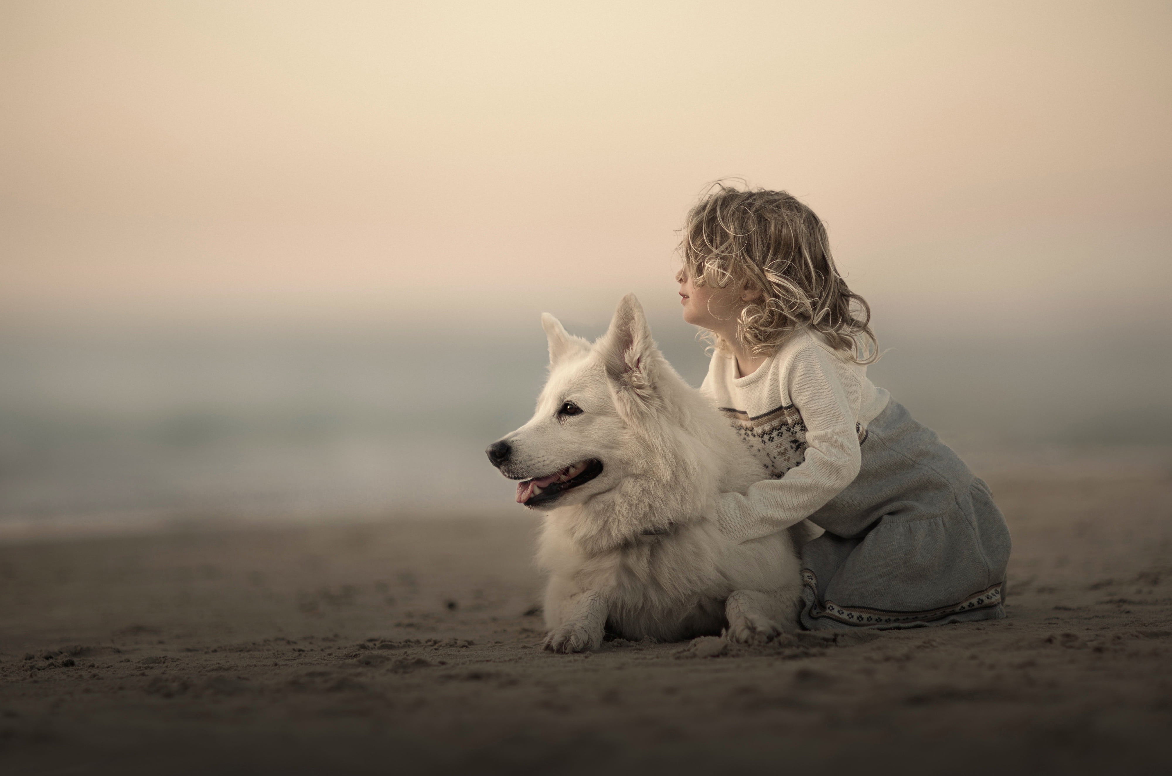 sand, dog, girl, friends, bokeh, The white Swiss shepherd dog