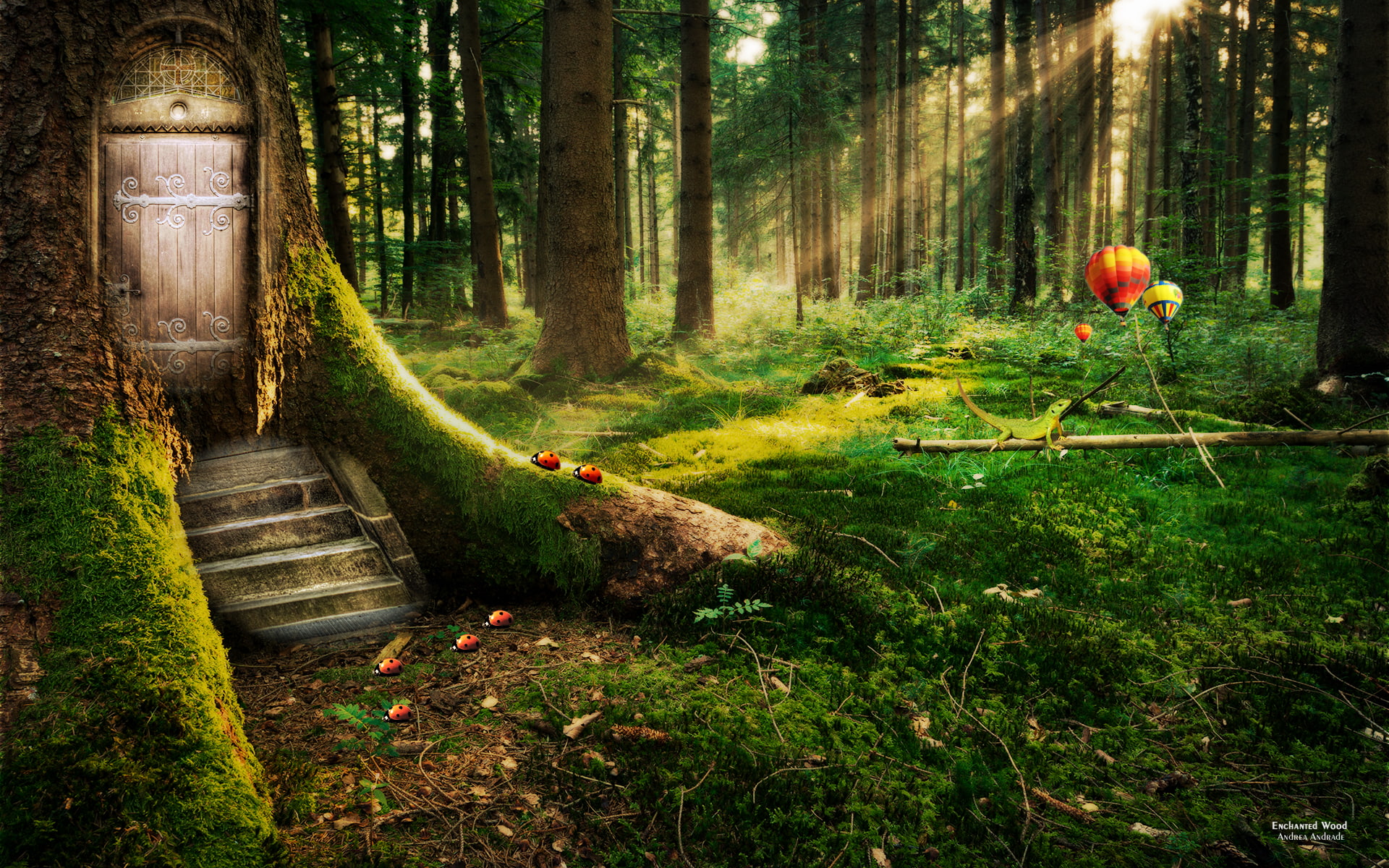 Enchanted Forest HD, fantasy, dreamy
