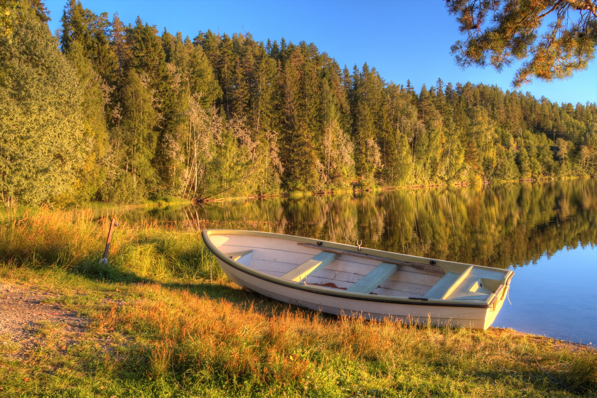 white wooden fishing boat, autumn, forest, lake, morning, early