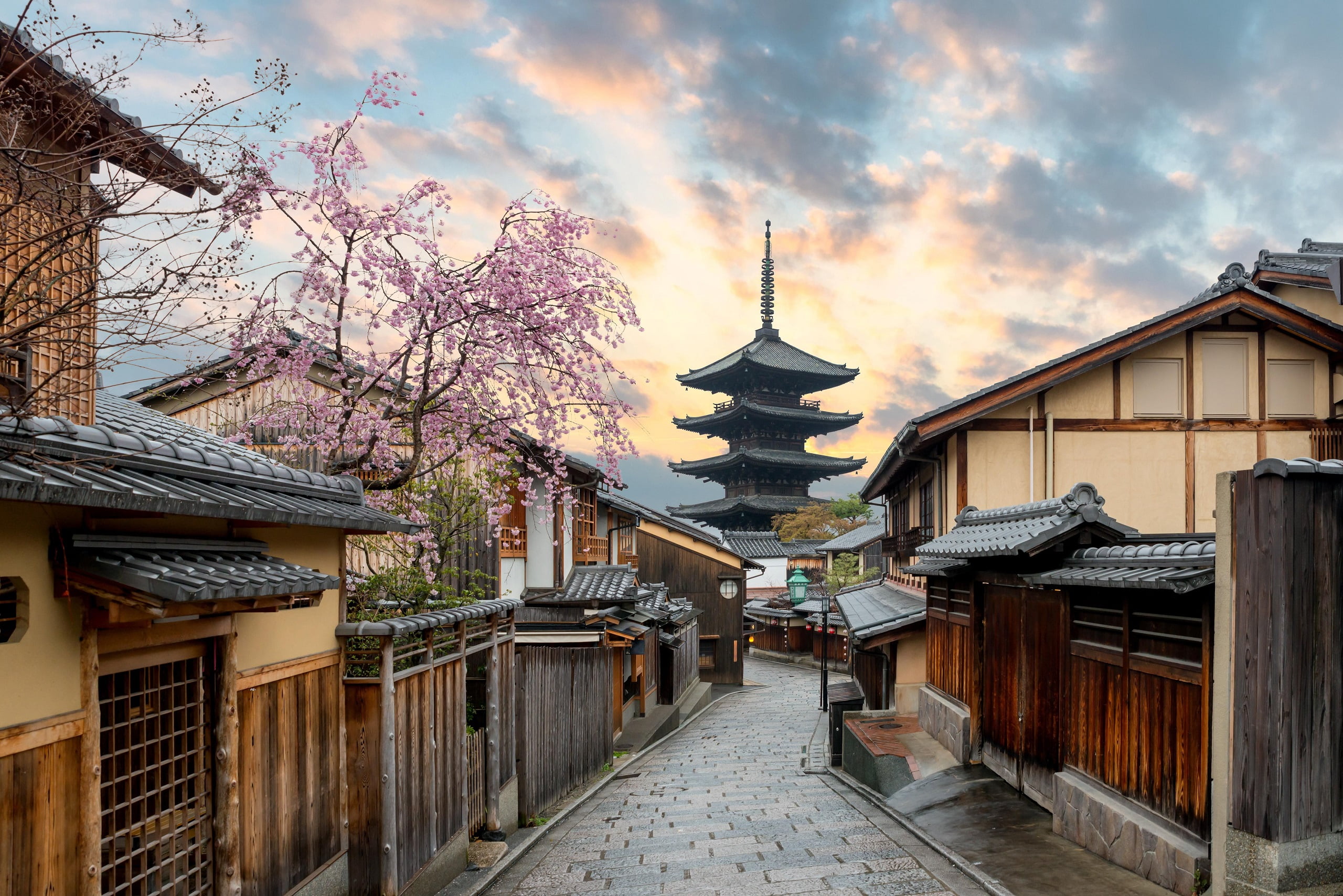 Free Download Hd Wallpaper Kyoto Japan Architecture Cherry