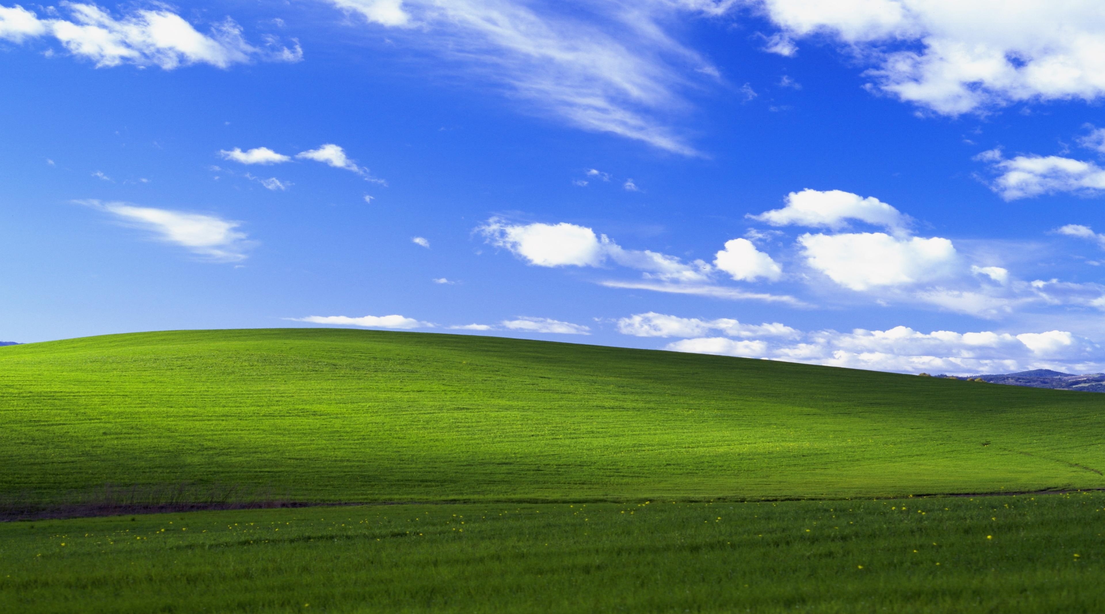 Free Download Hd Wallpaper Windows Xp Original Green Grass Field