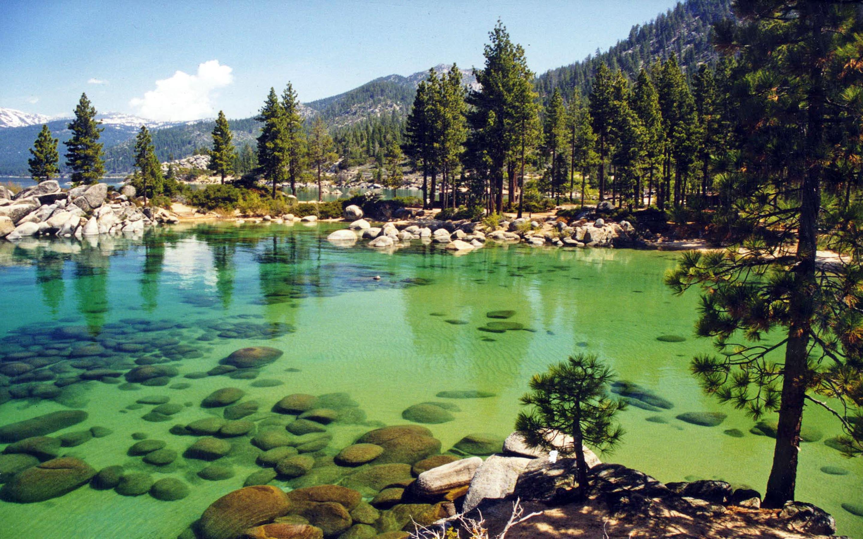 Lake Stones Mountain Forest Tahoe California, water, tree, plant
