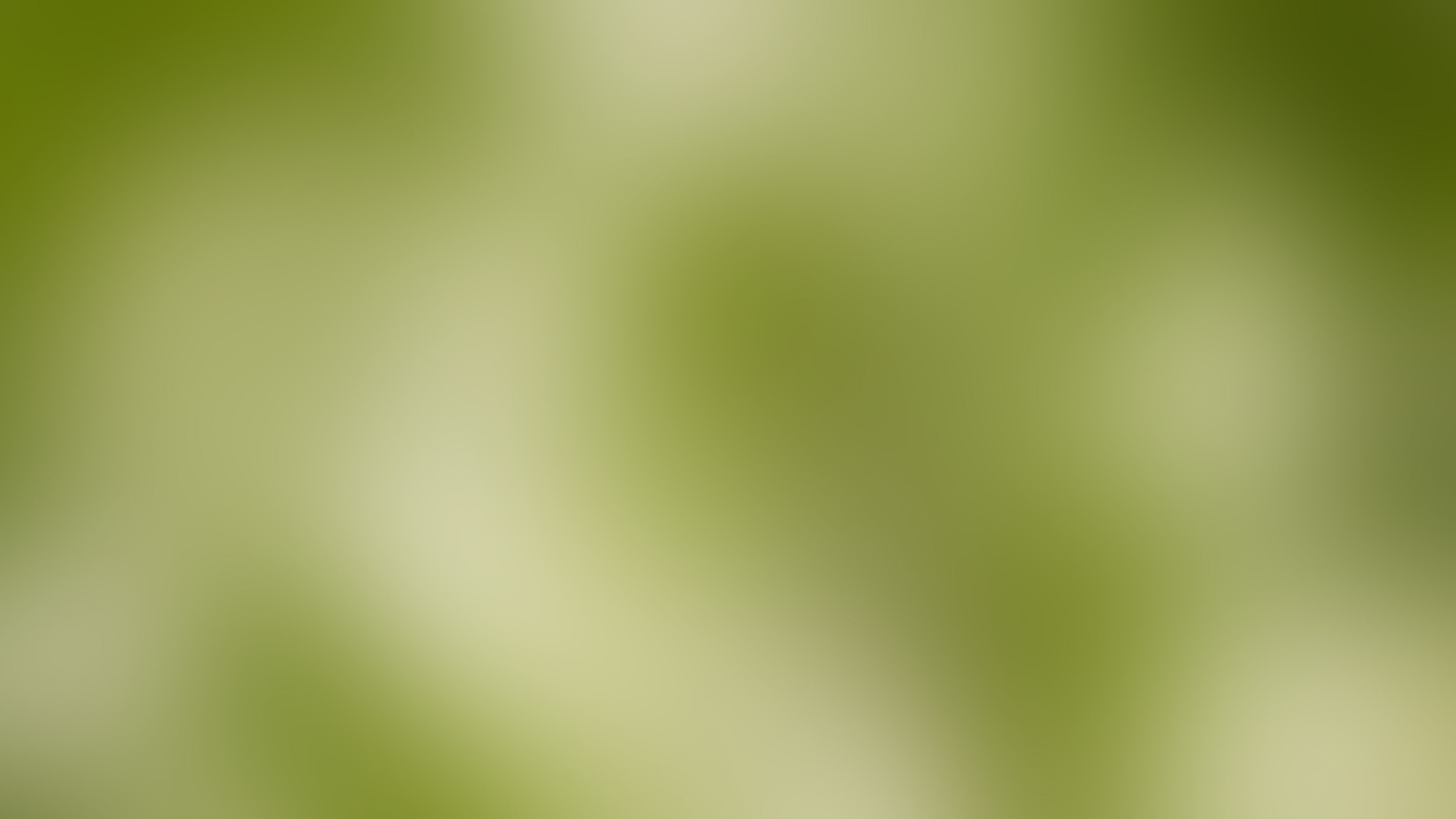gradient, backgrounds, full frame, no people, abstract, green color