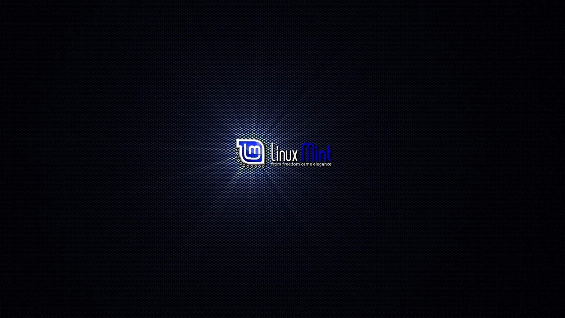 computers linux logos linux mint 1920x1080  Technology Linux HD Art