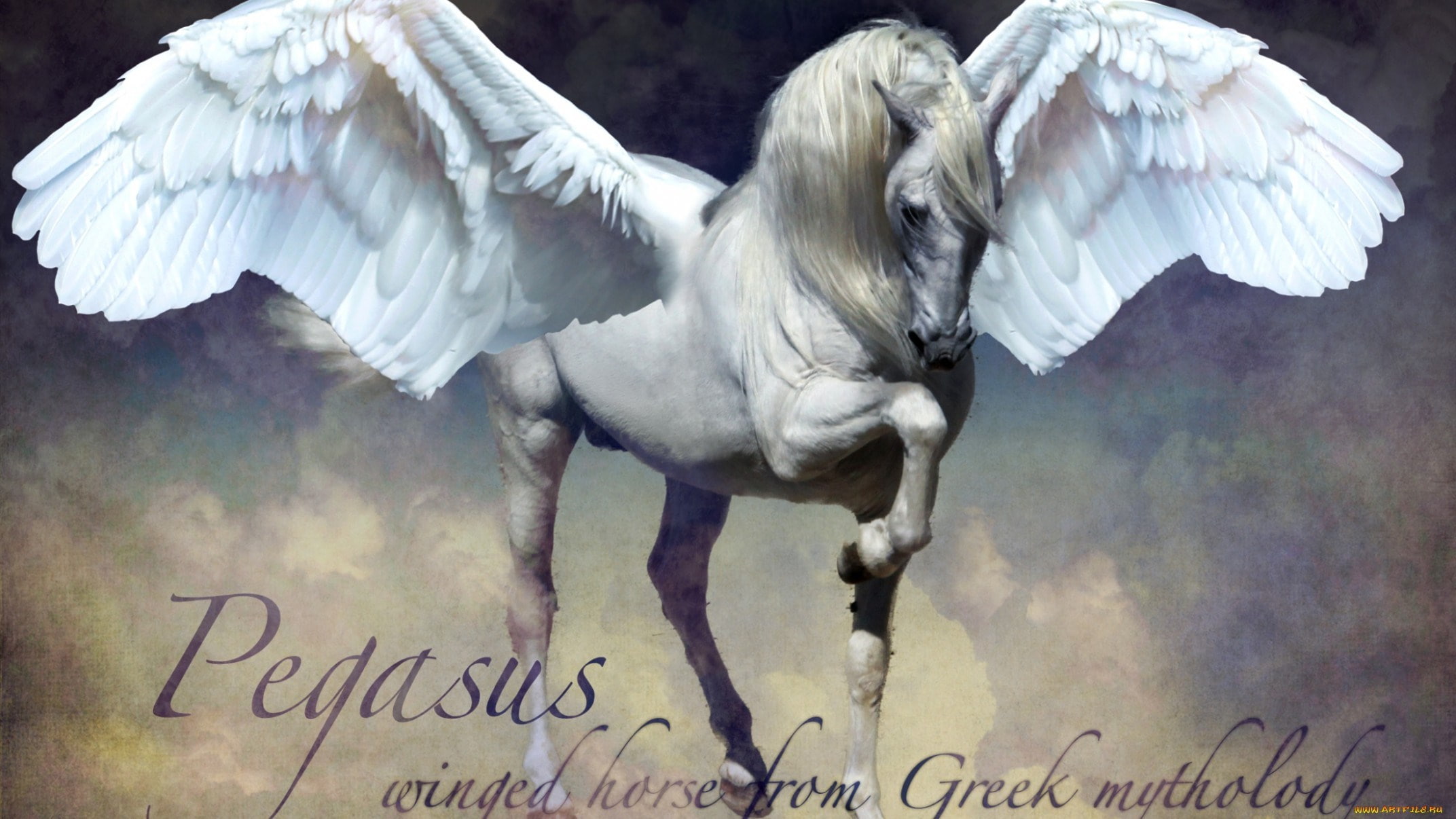 pegasus