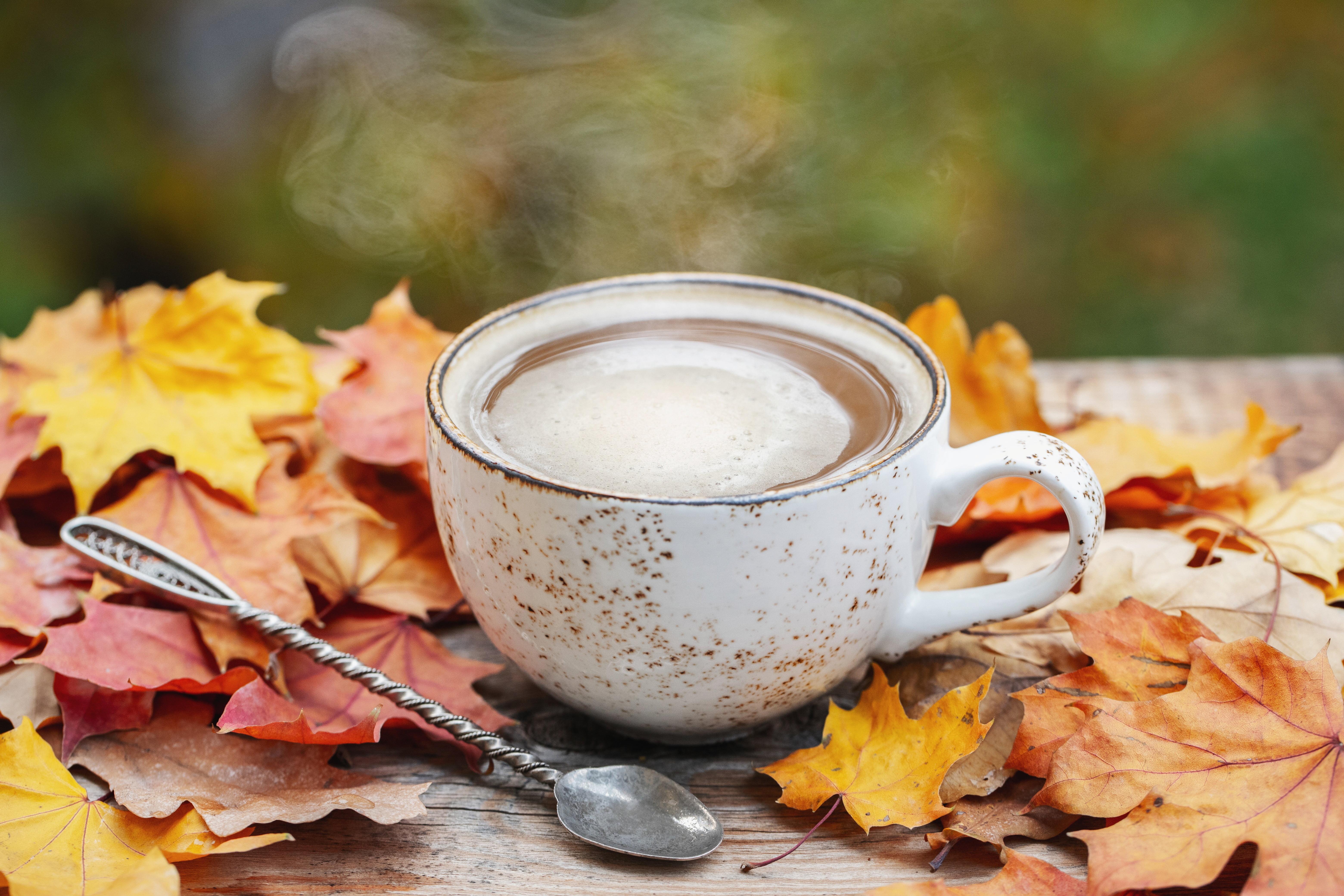 autumn, leaves, wood, coffee cup, a Cup of coffee