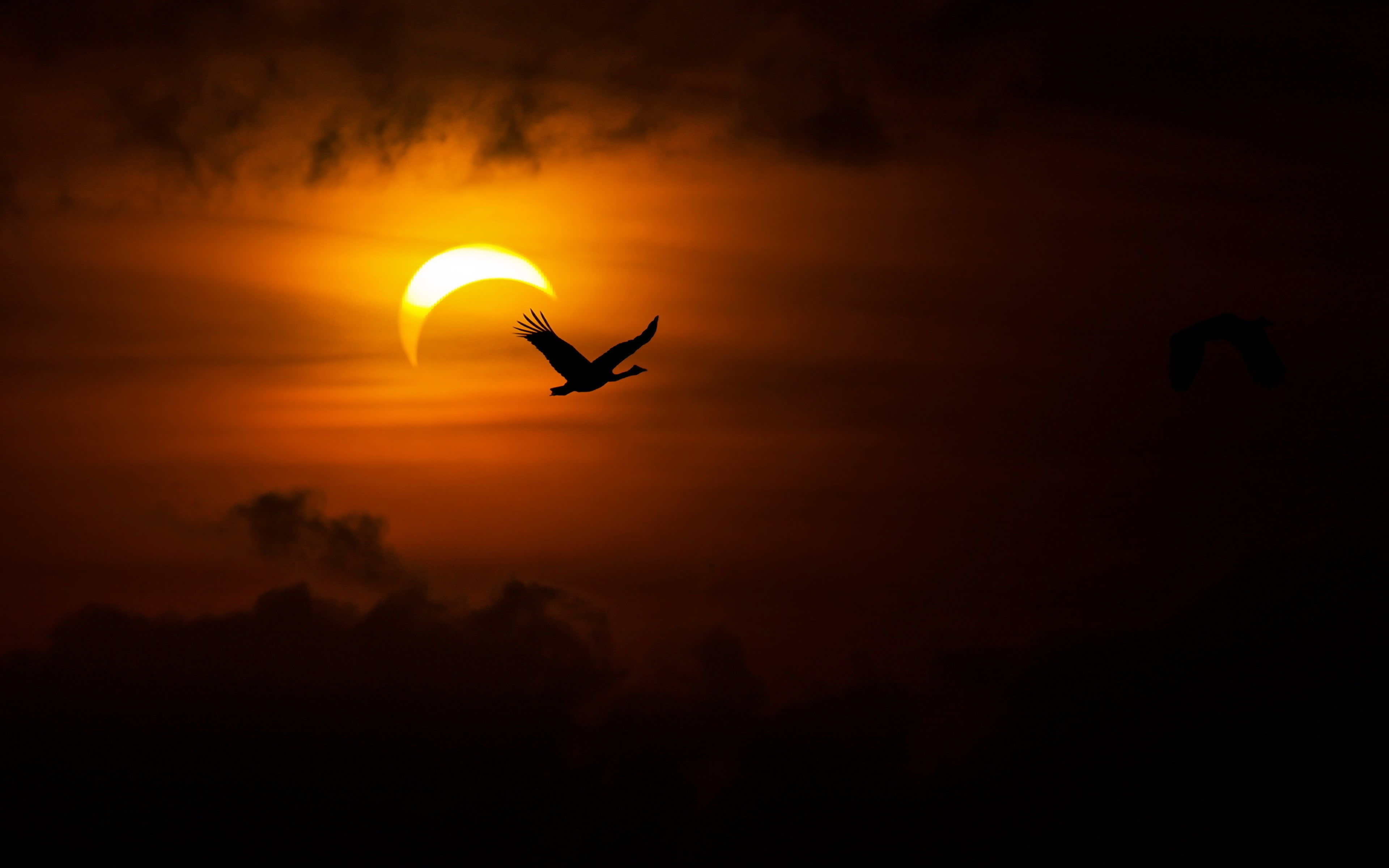 solar eclipse