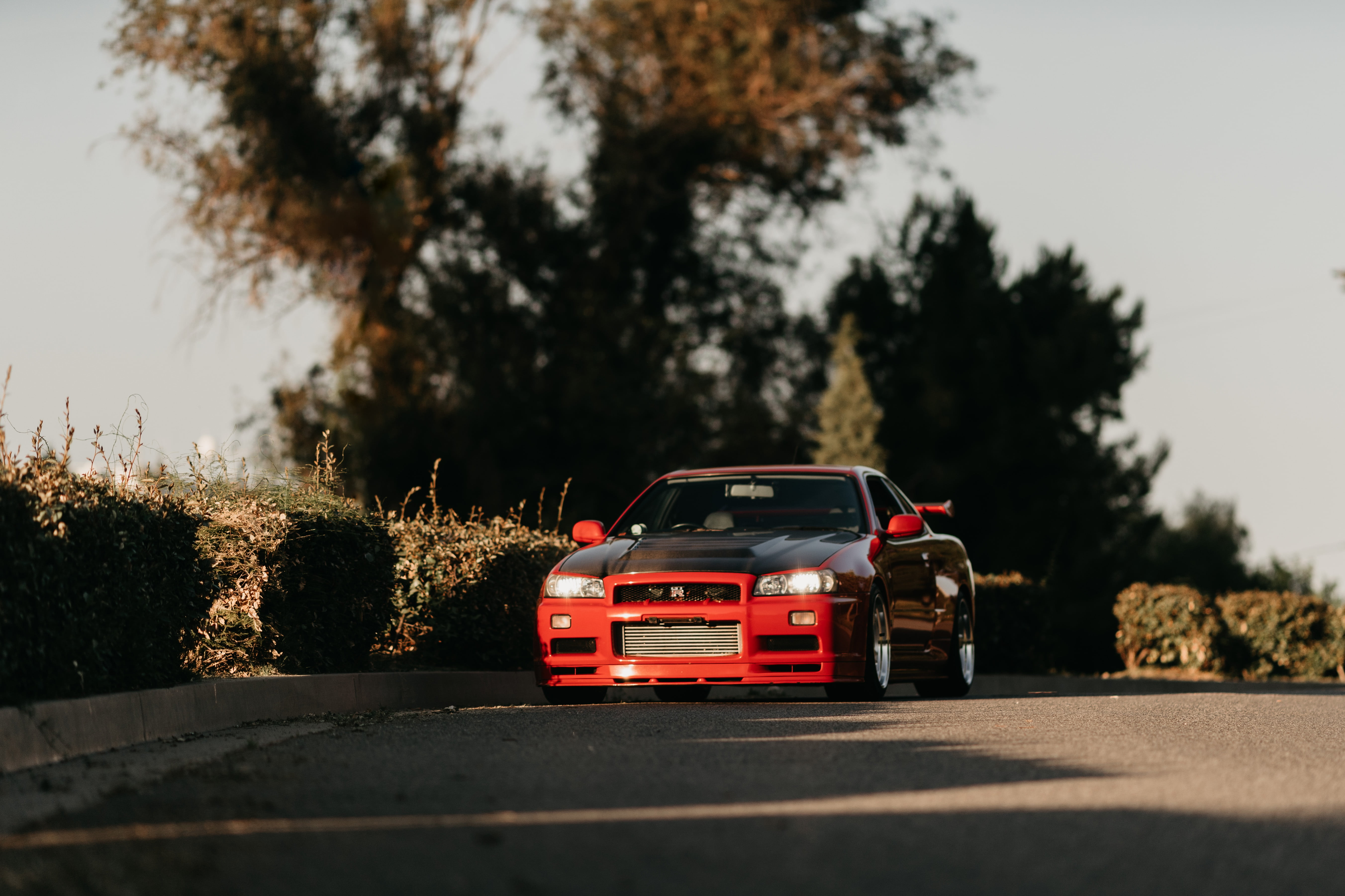 Free download | HD wallpaper: GT-R, Skyline, Shadow, R34, Road, Trees