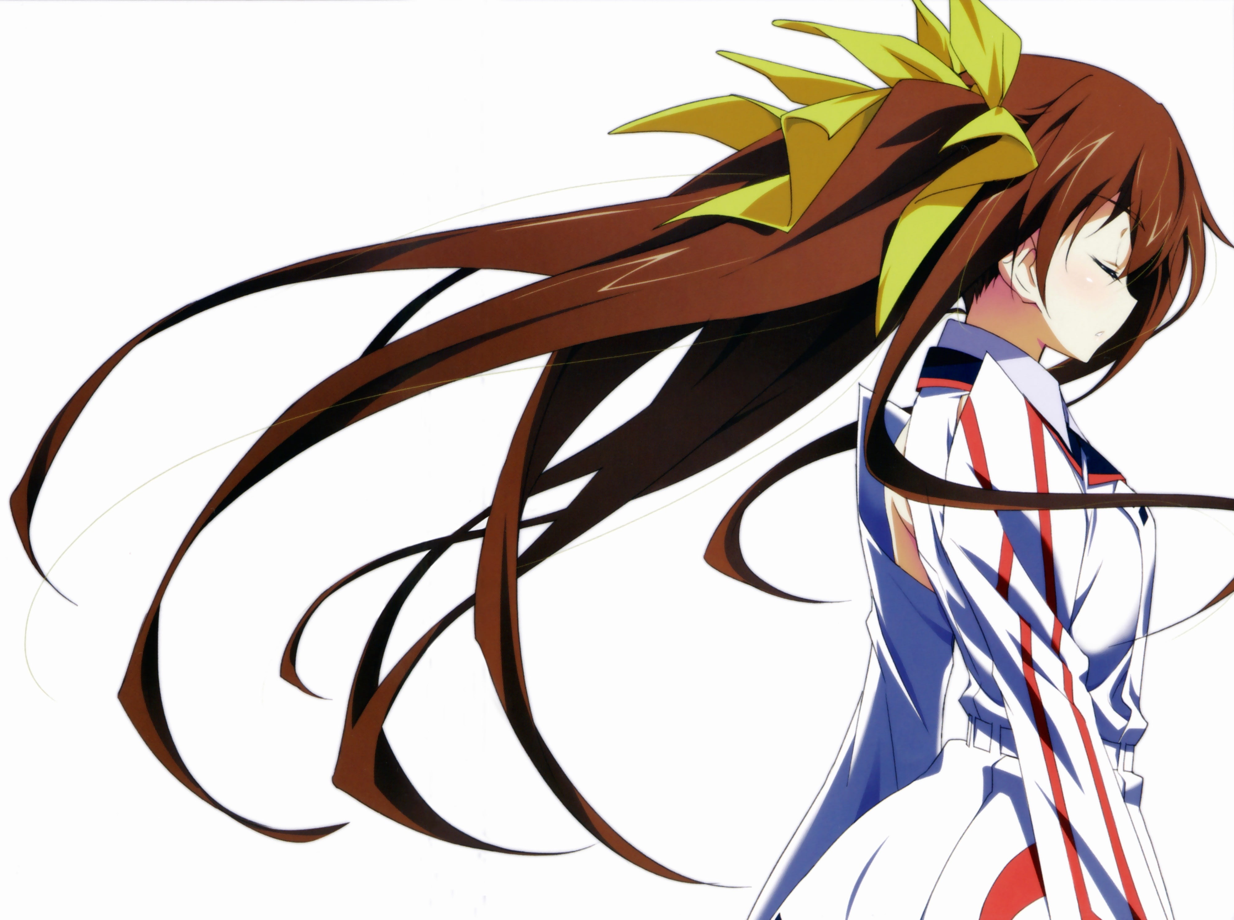 anime, Infinite Stratos, Huang Lingyin, white background, no people