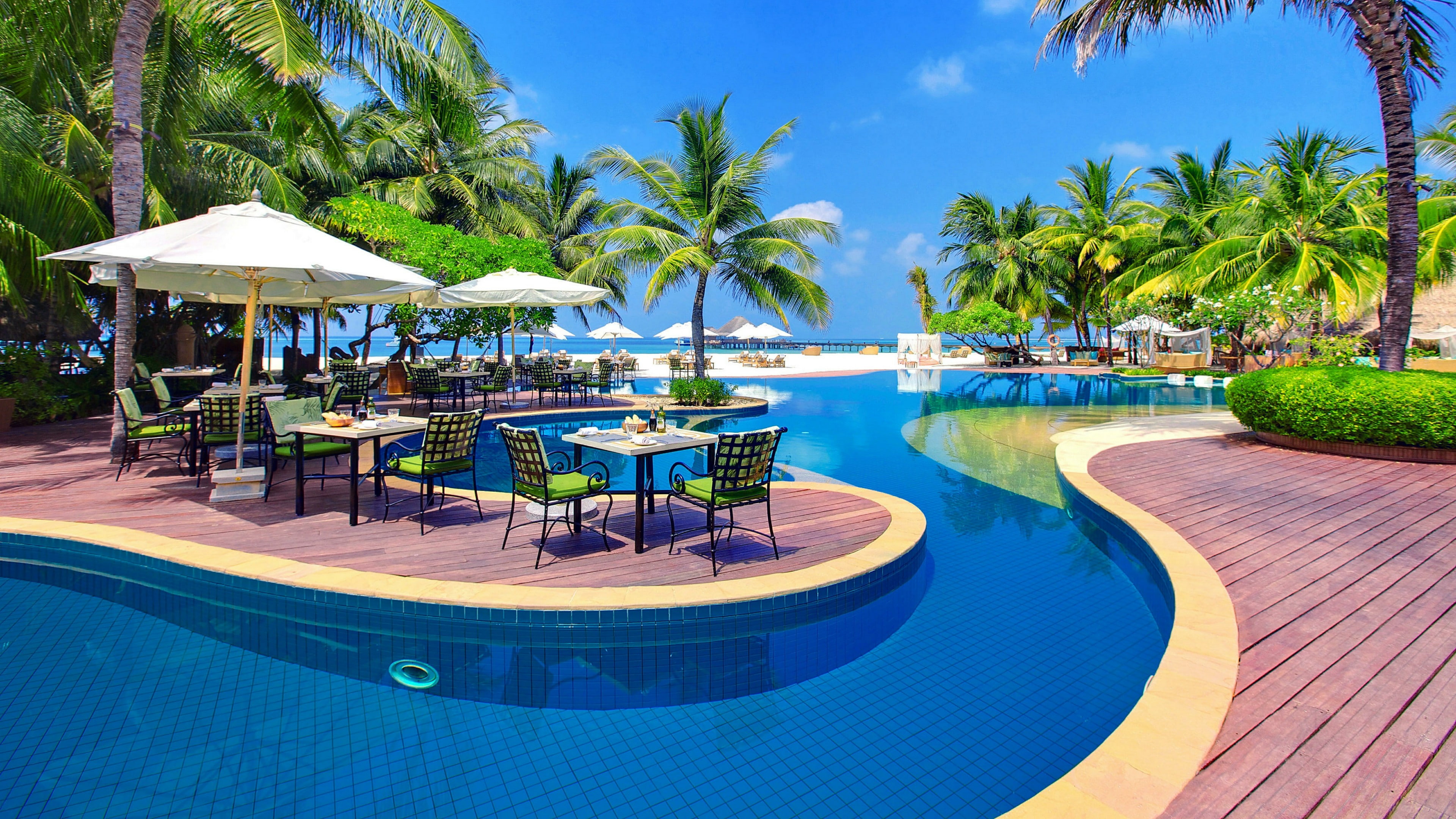 resort, leisure, swimming pool, resort town, vacation, palm tree