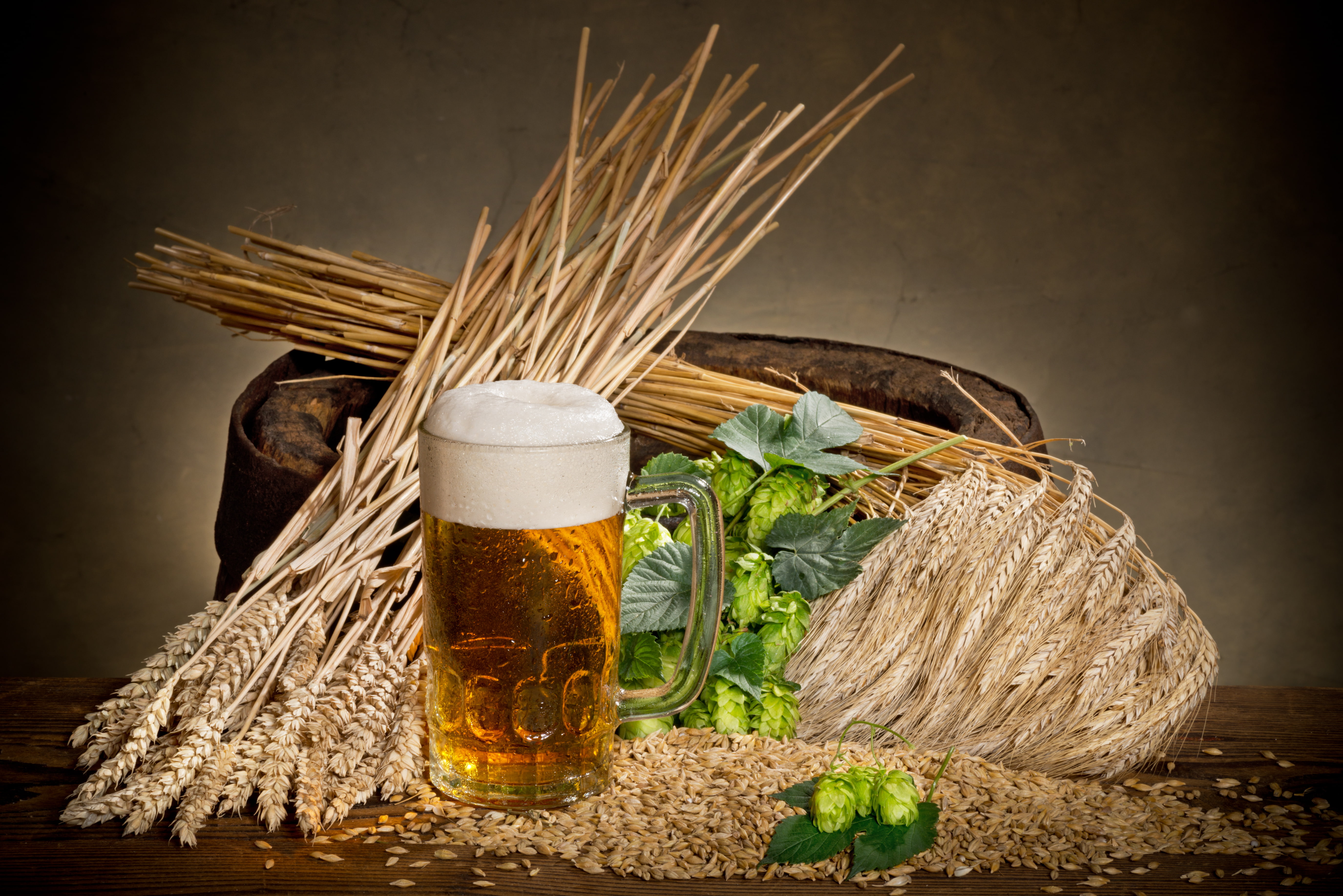malt beer glass, millet, hops