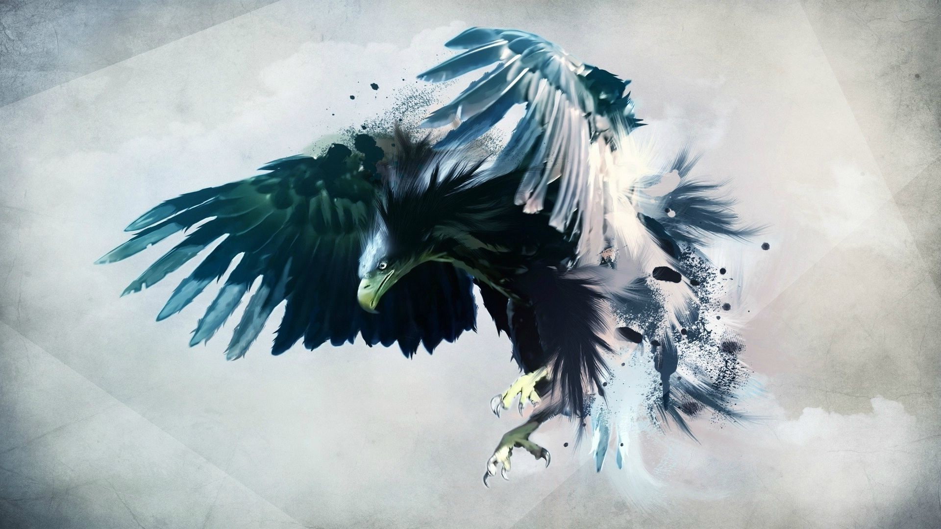eagle, Flying