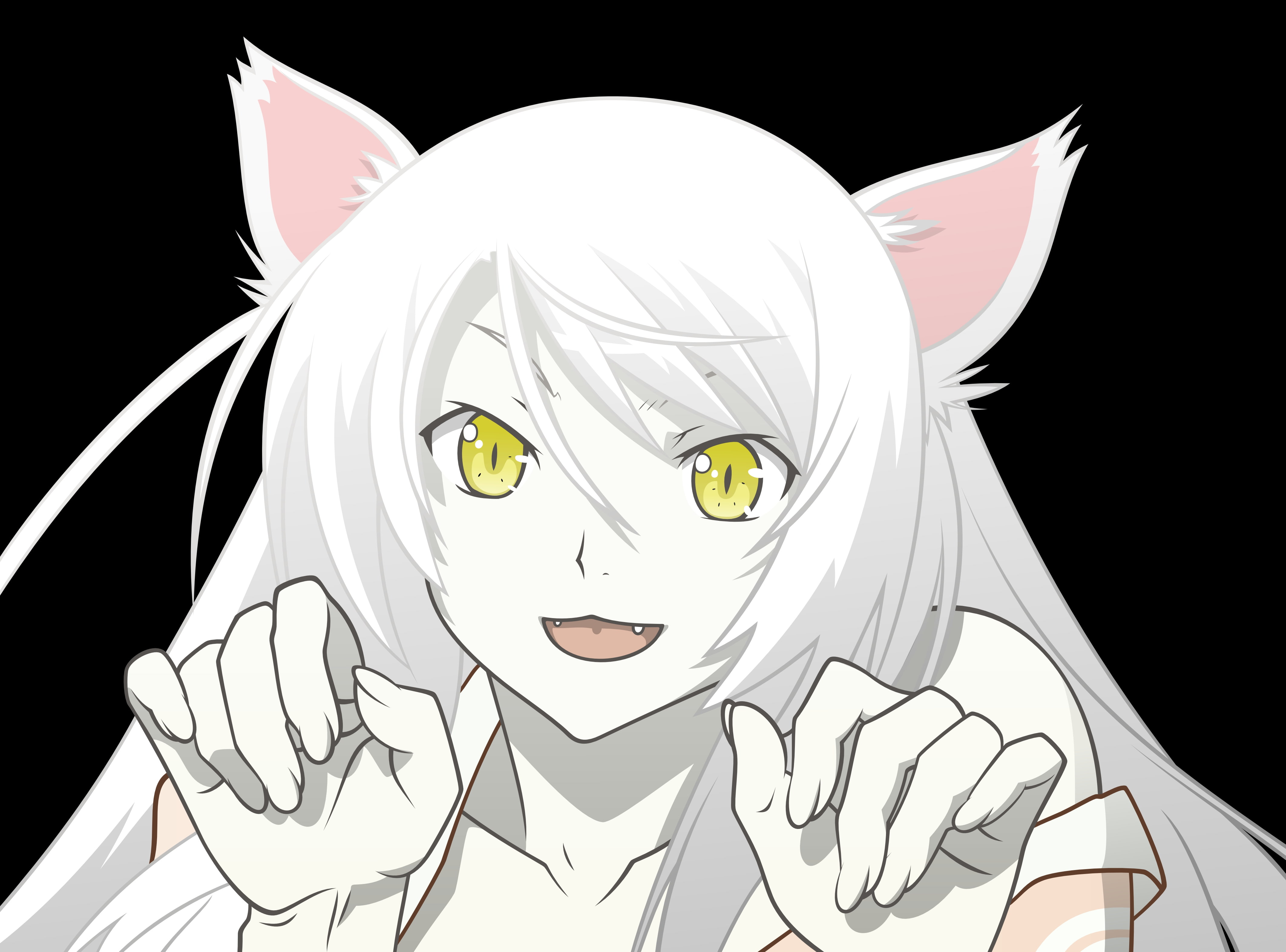 bakemonogatari